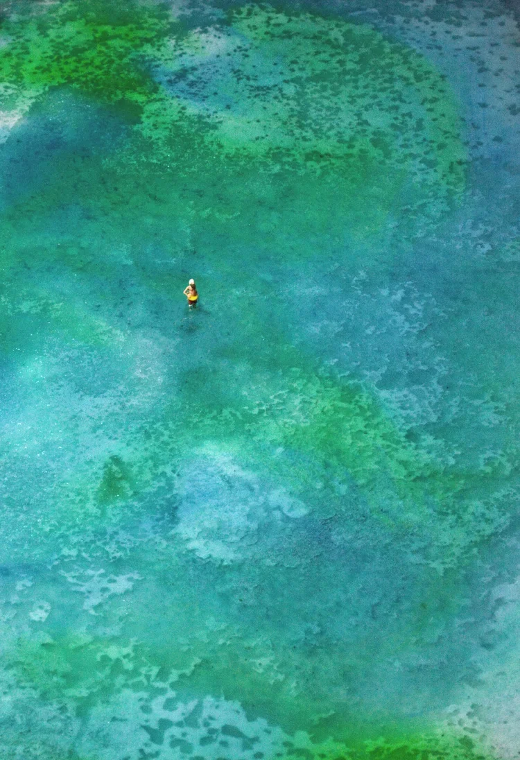 webgreenswimmer.webp