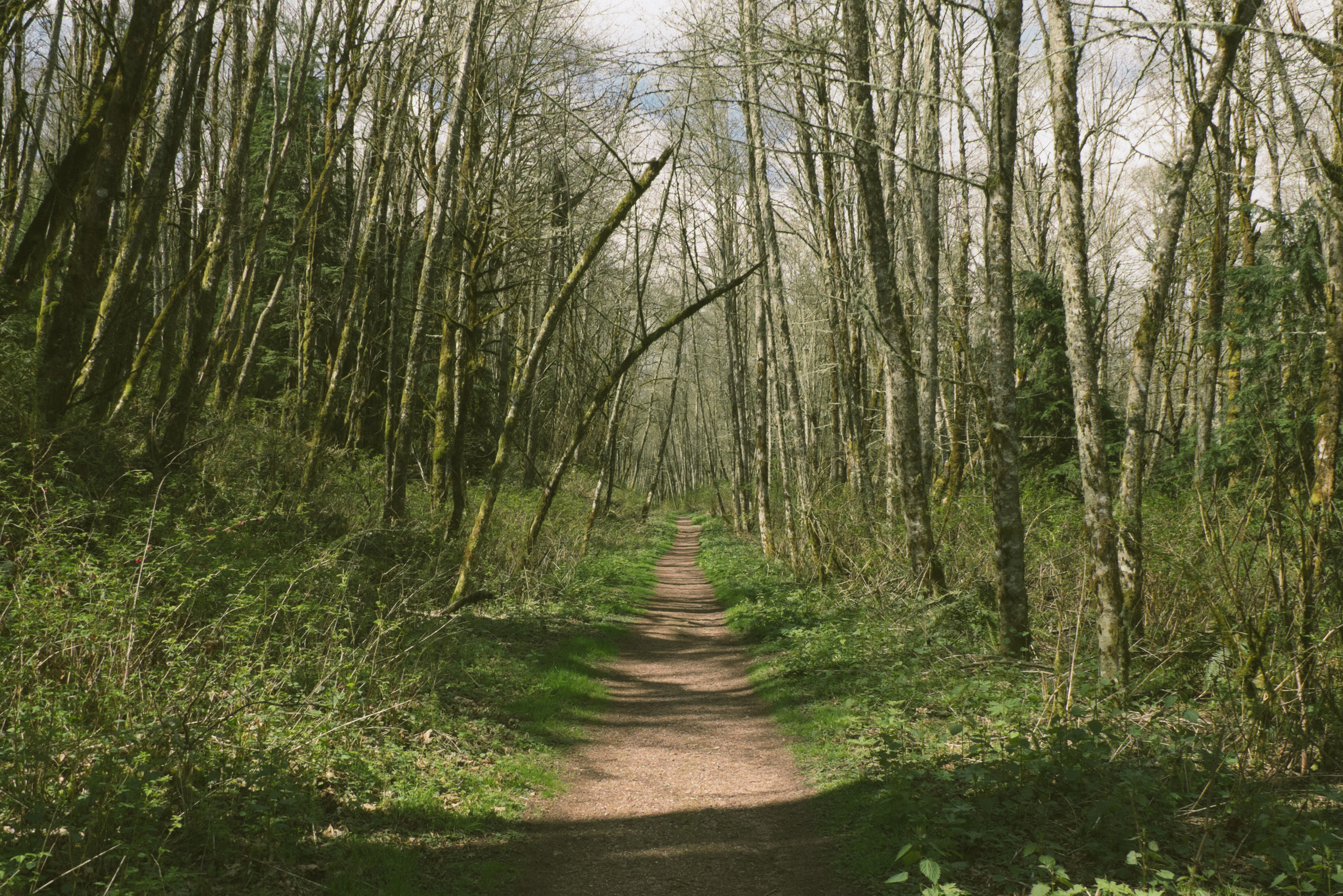 DSCF5910.jpg