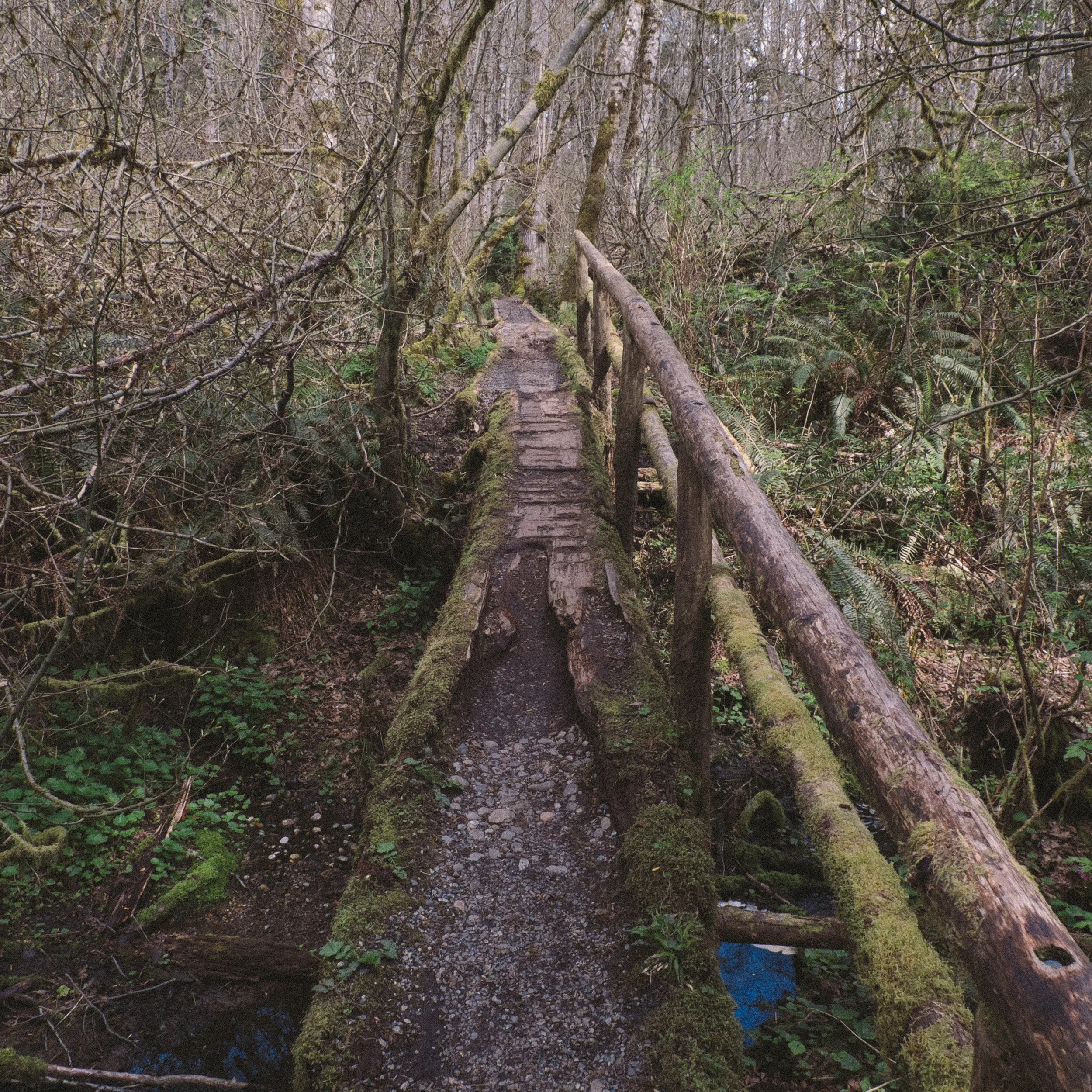 DSCF5925.jpg