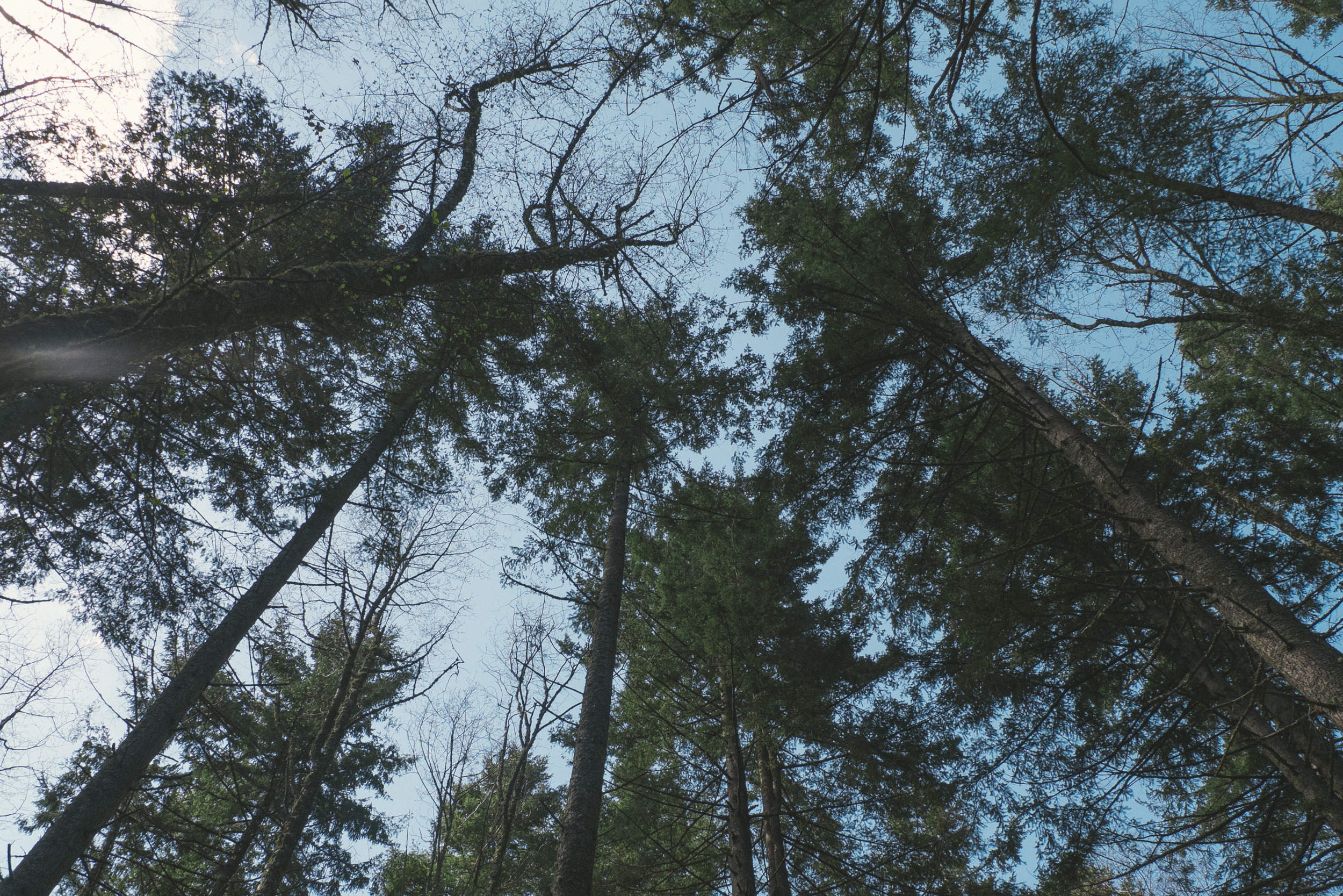 DSCF5947.jpg