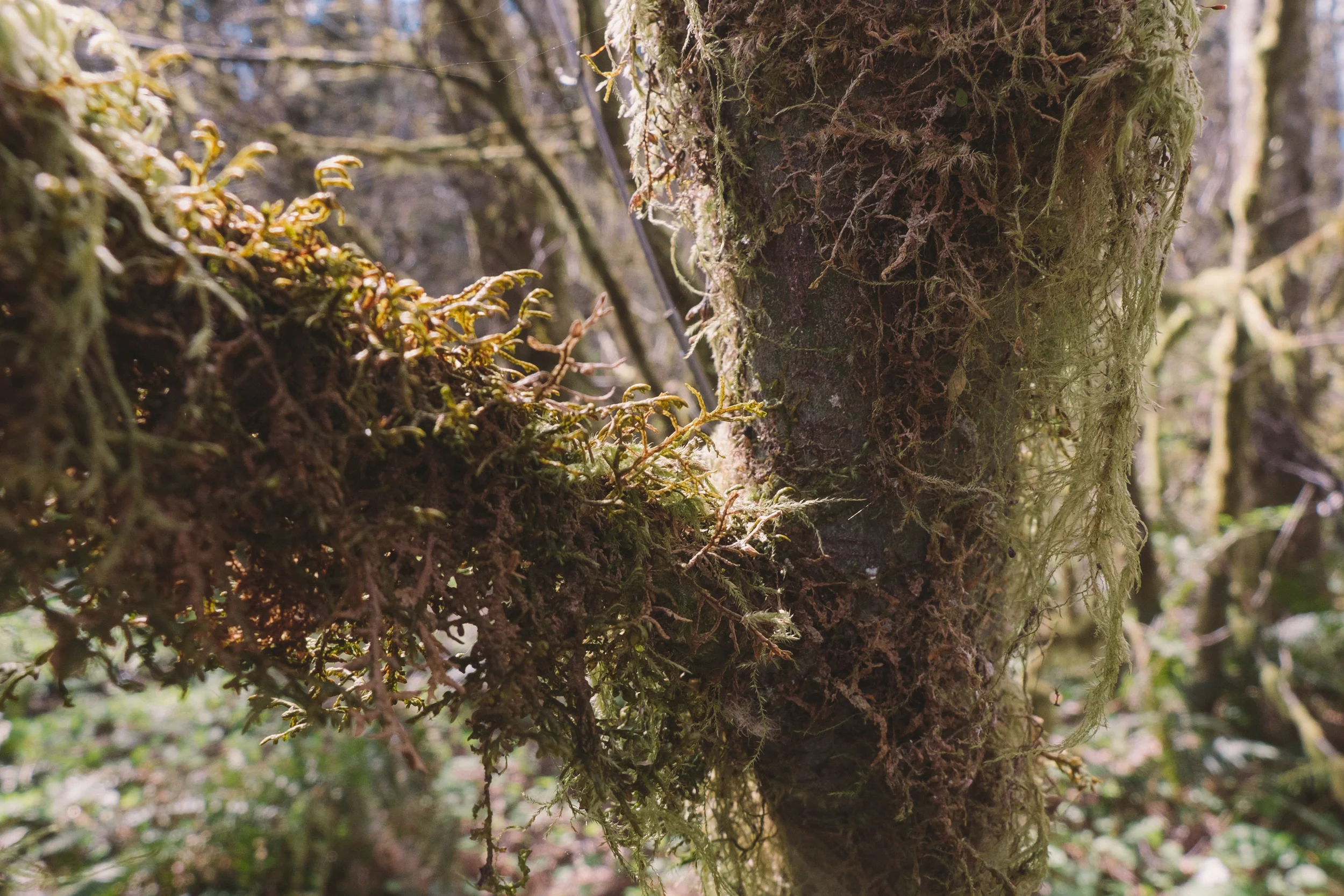 DSCF5931.jpg