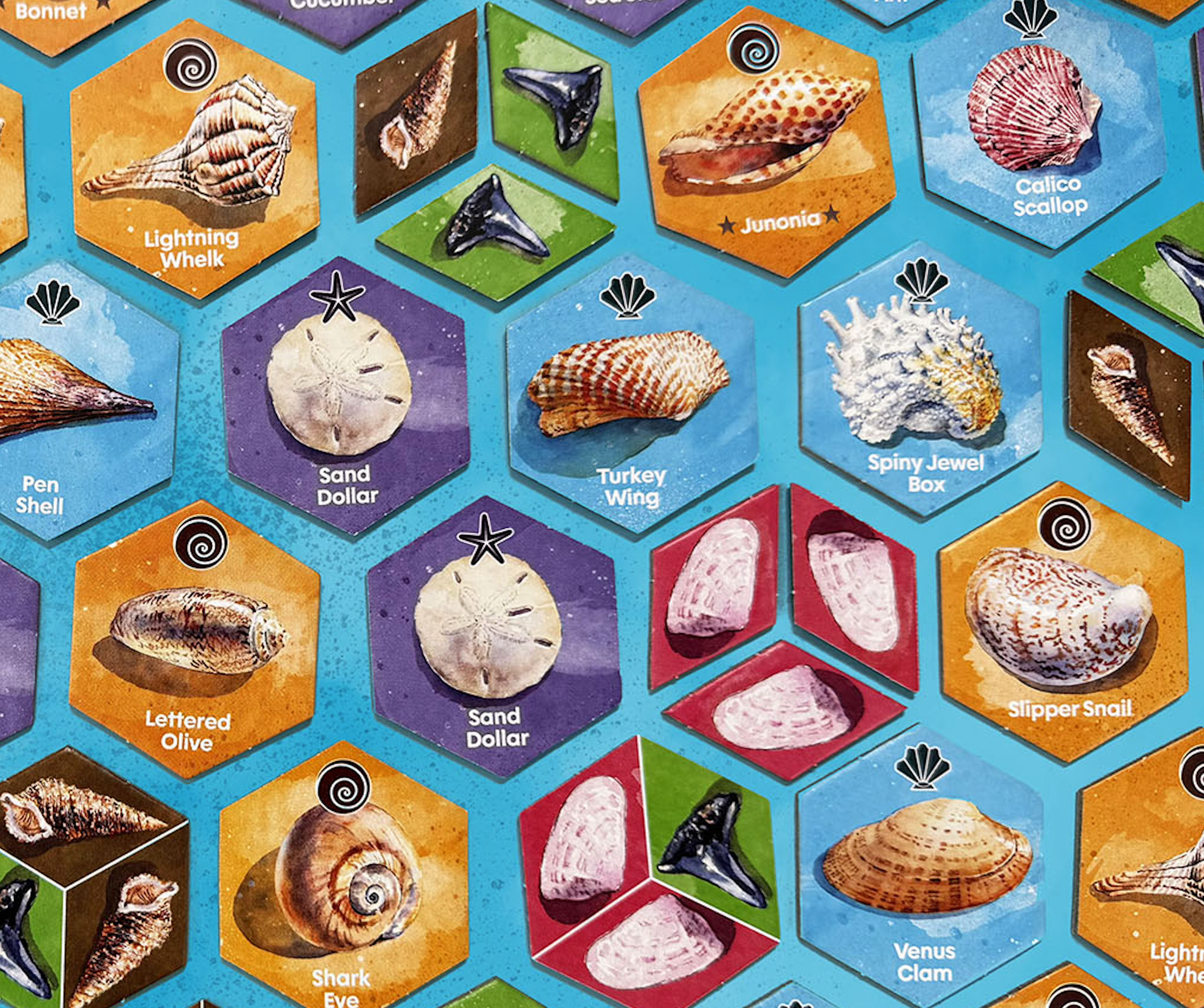 Screenshot 2026-03-01 at 4.01.29 PM.png