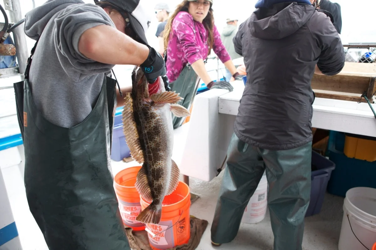 CA Collaborative Fisheries Research