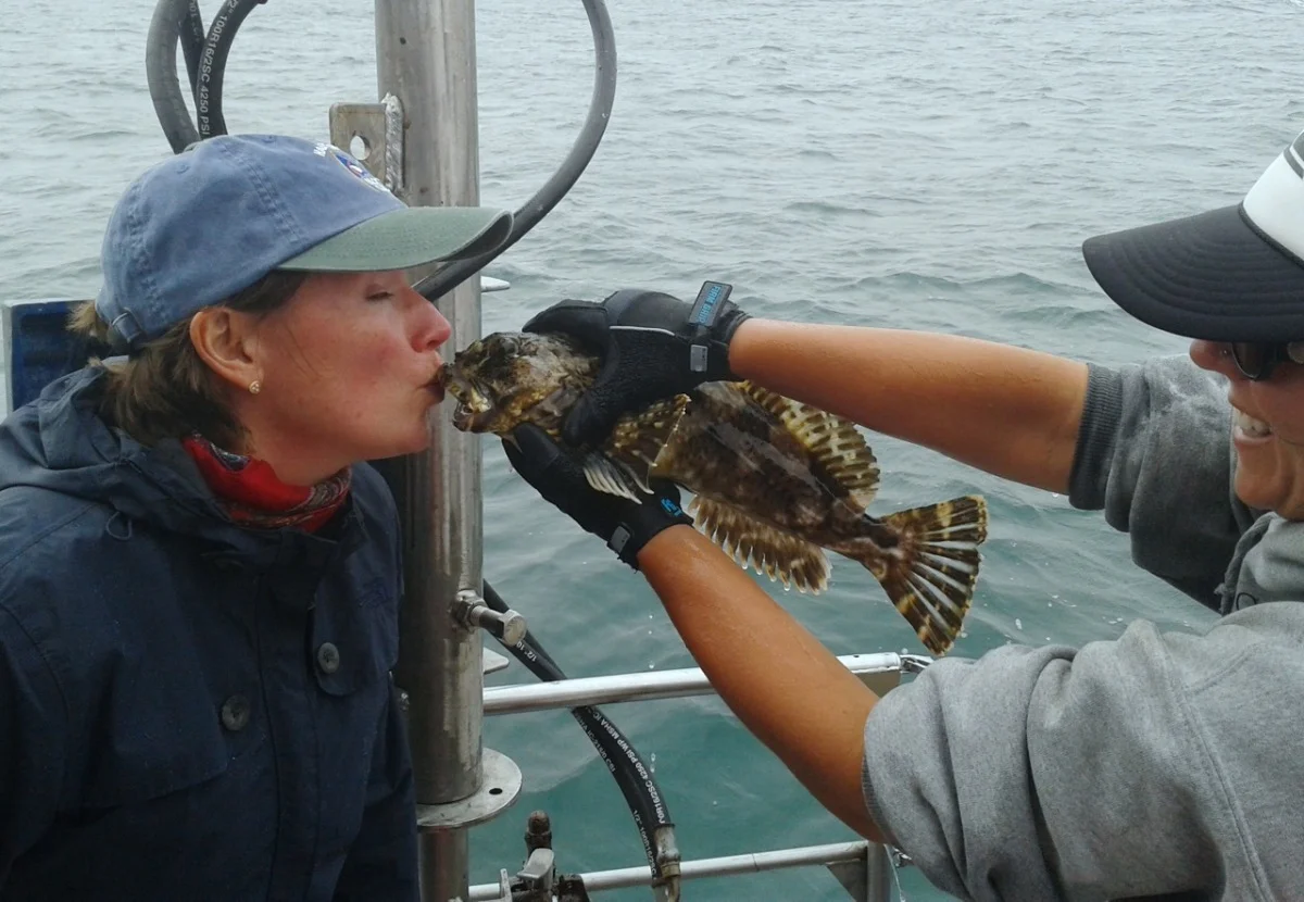 Sabrina Brennan: CA Collaborative Fisheries Research