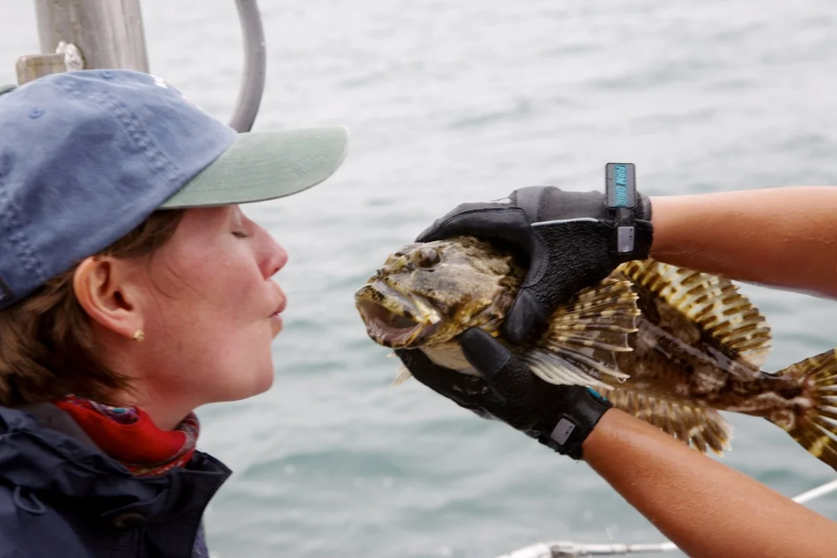 Sabrina Brennan: CA Collaborative Fisheries Research