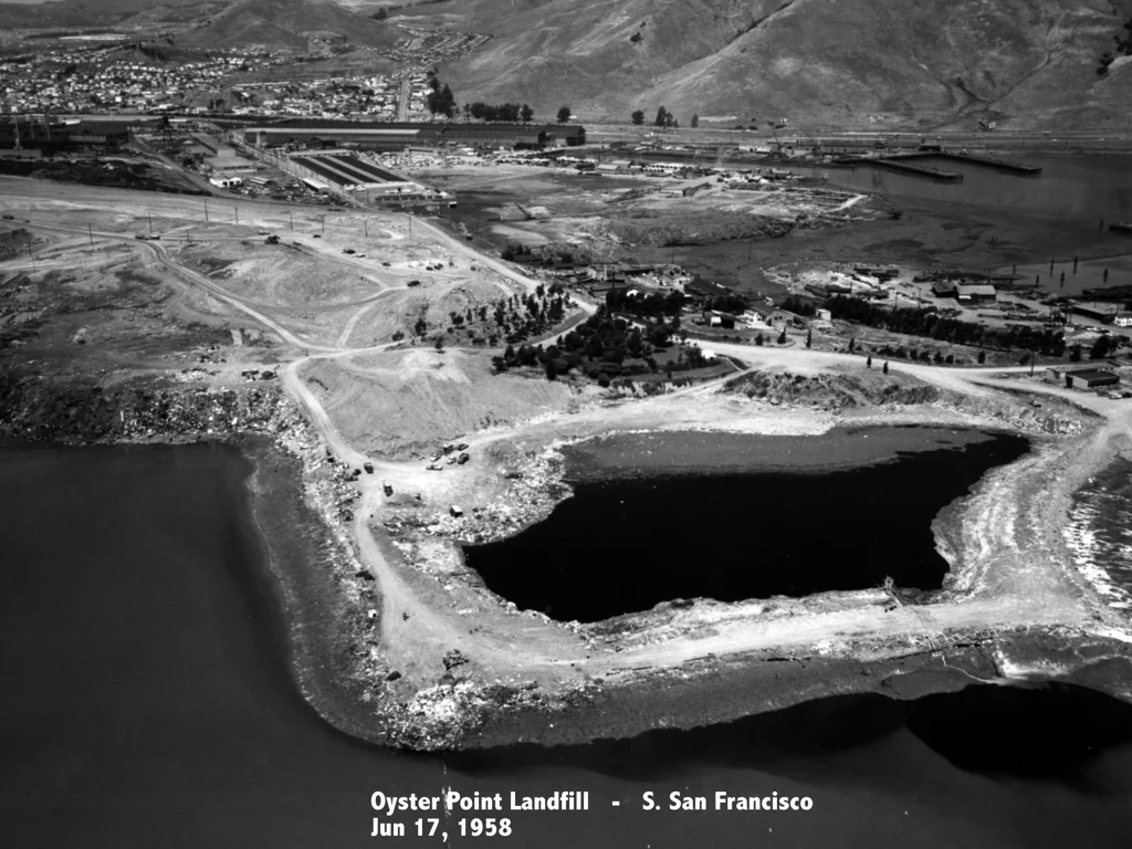 Karyl Matsumoto Oyster Point Landfill.jpeg
