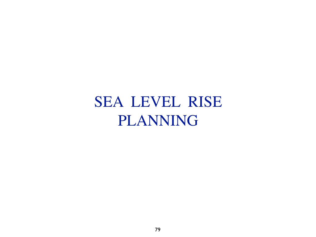 PPH Master Plan 1991 slides.079.jpeg
