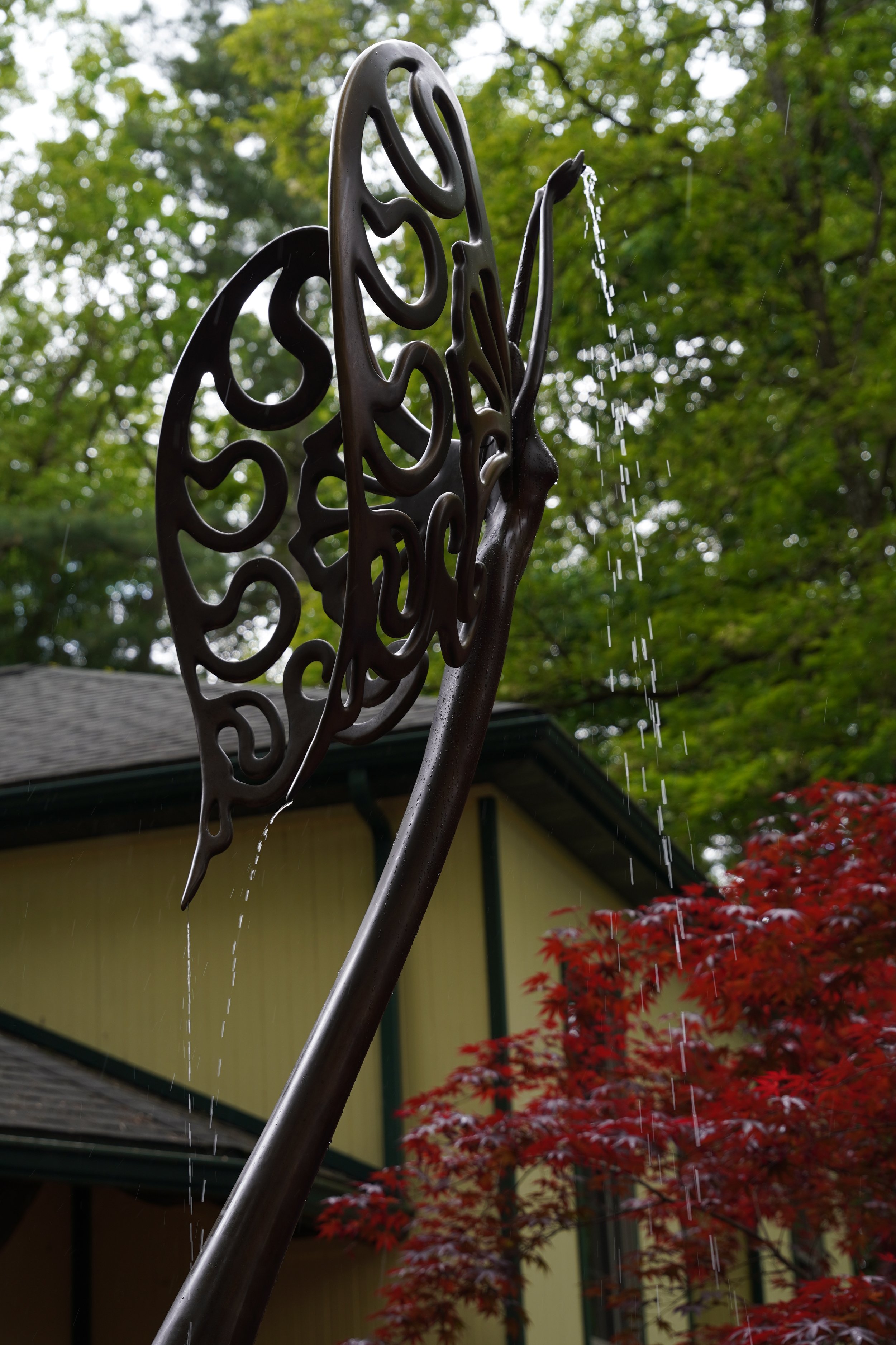 DSC00322 2.JPG