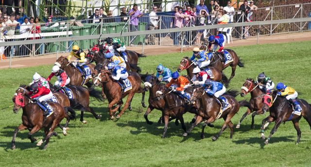 durban_july_2010_193.jpg