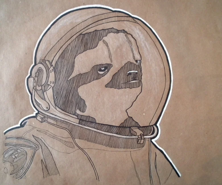 SpaceSloth.jpg