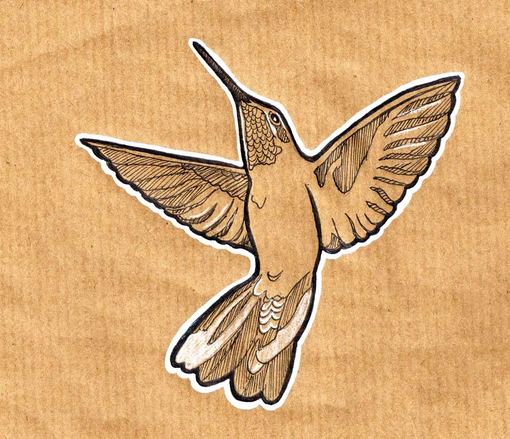 humming-bird-#2.jpg