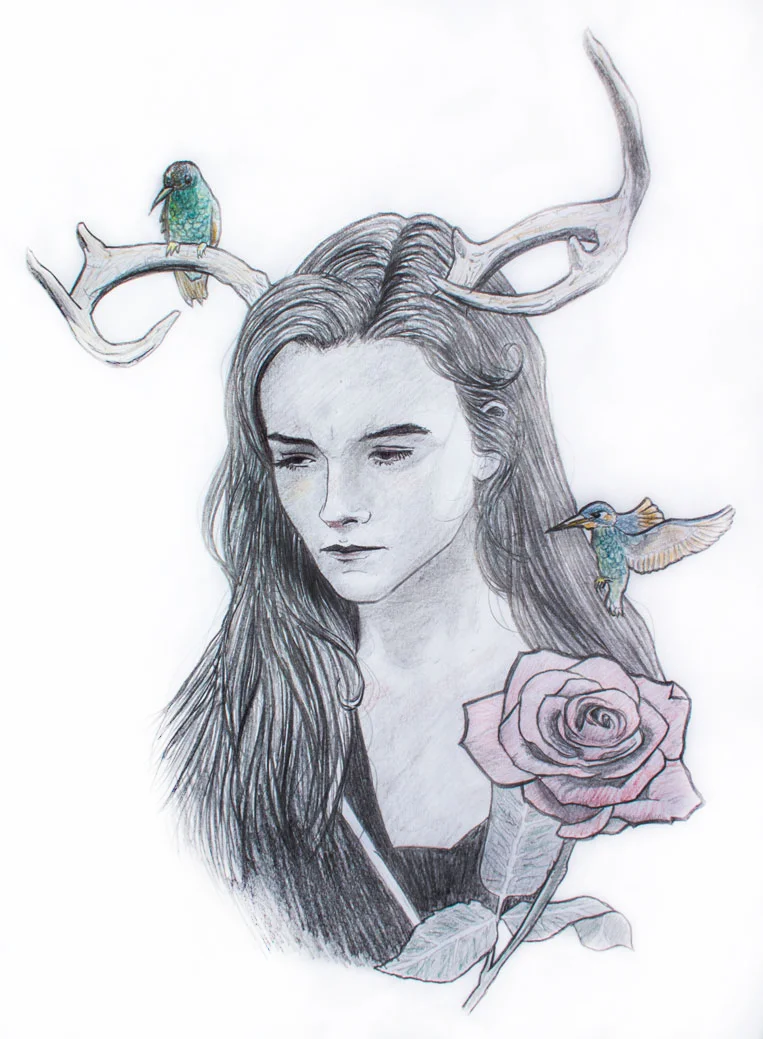Bird-antler.jpg