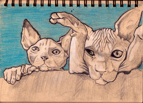 Sketchbook-July-2015-003.jpg