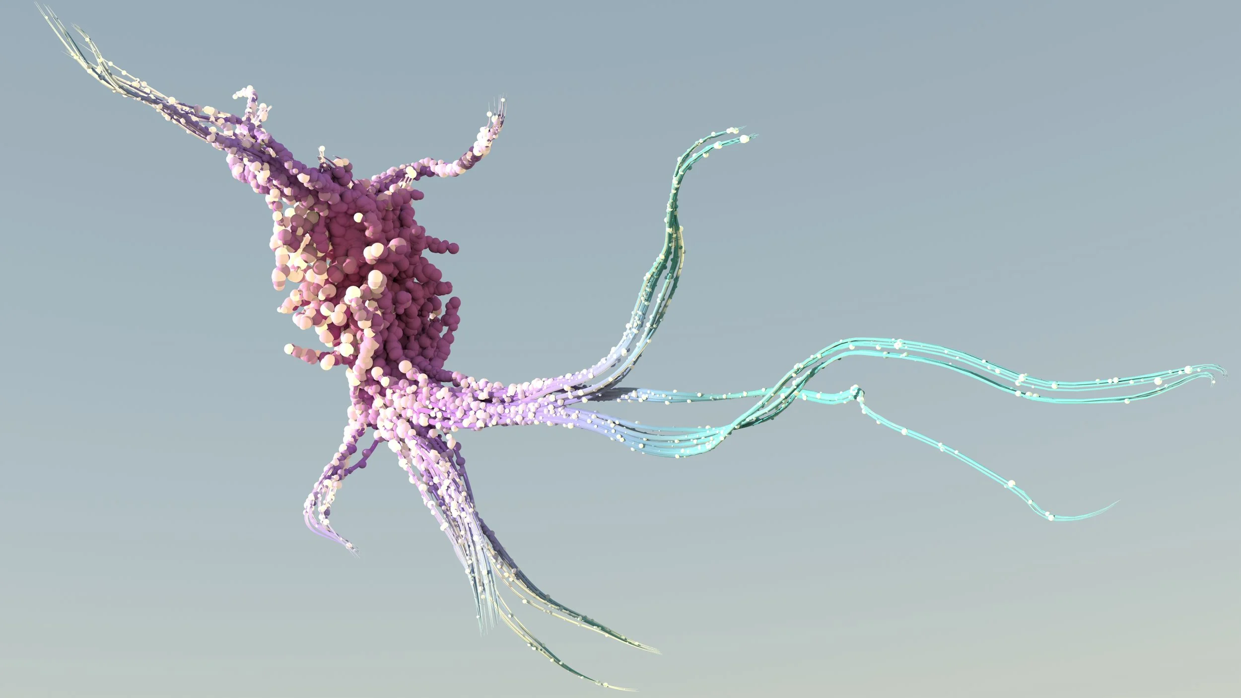 Branches - This is a particle system that generates curves, using flocking to control their movement. I then converted the curves into a mesh and grew a set of spheres on the surface with size falloffs. The spheres are using a subsurface scattering shader to glow the outermost spheres that catch most light.