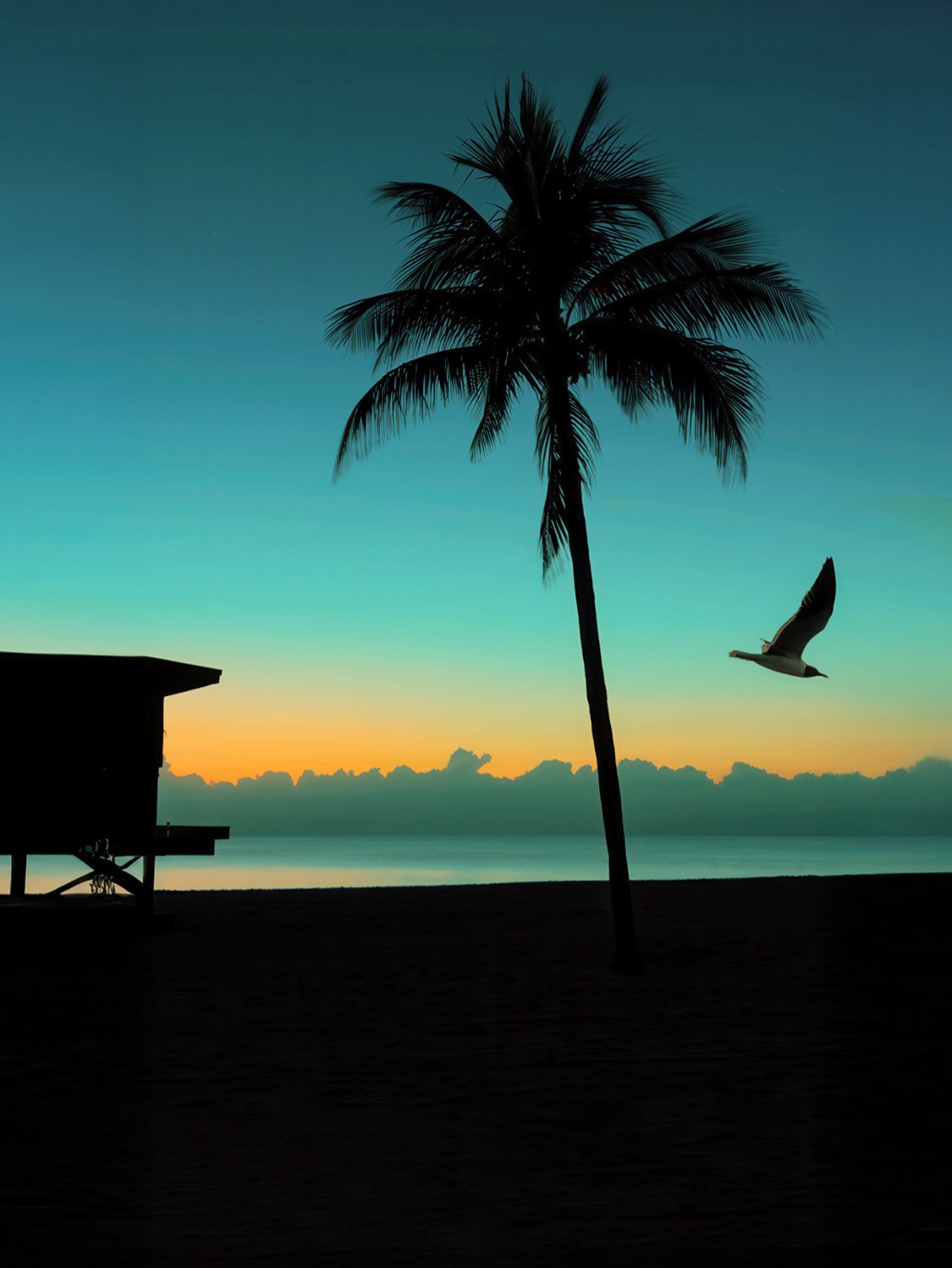 Lifeguard tower, bird in flight, and palm tree silhouetted against a colorful sunrise sky on South Beach.