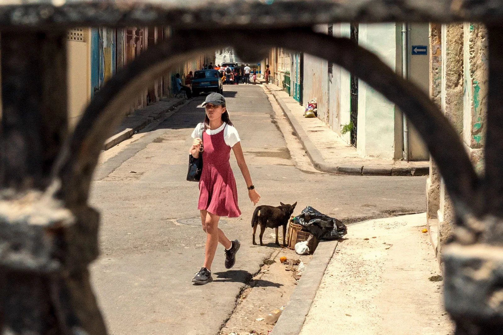 Young girl walks to school in Old Havana Cuba while a dog rummages for food in the street