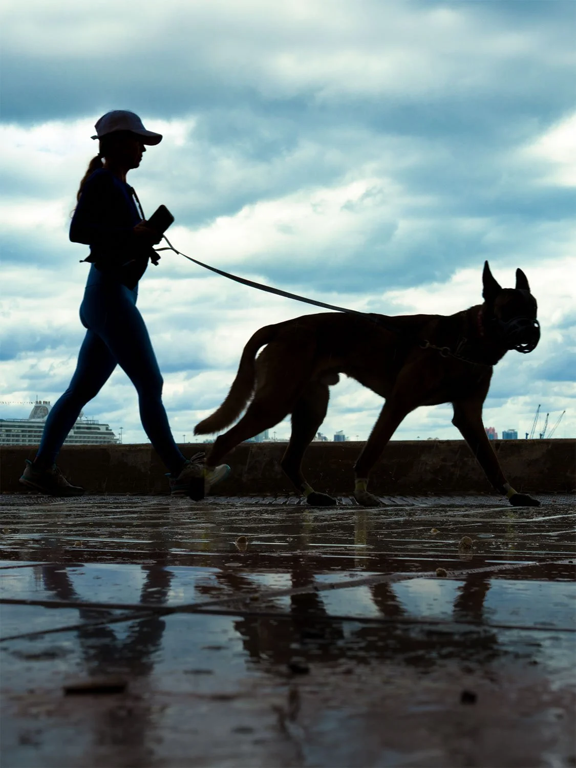 Woman walking large dog on leash outdoors, rainy urban waterfront, pet exercise, active lifestyle with dog, city backdrop.