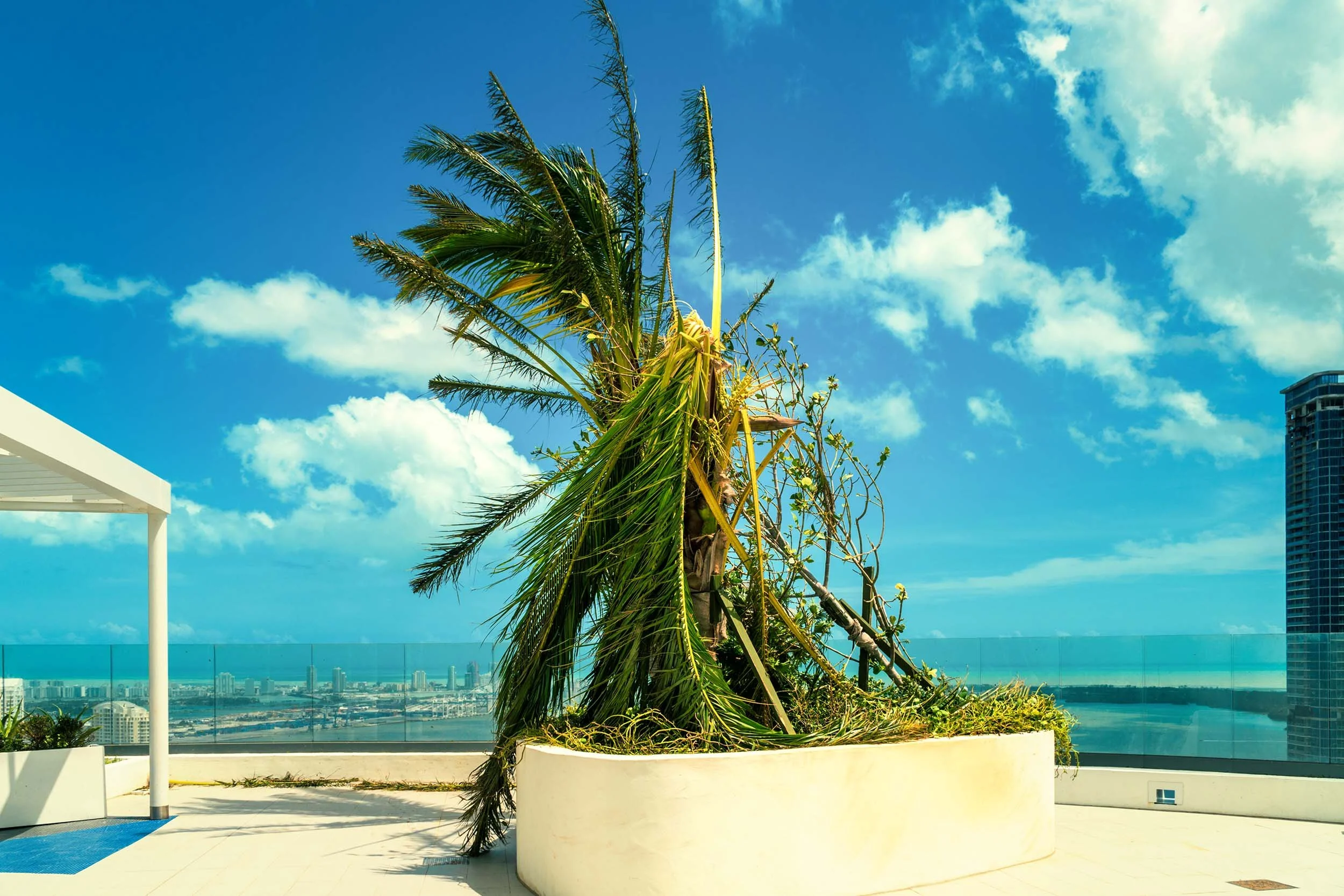 Aftermath of Hurricane Irma