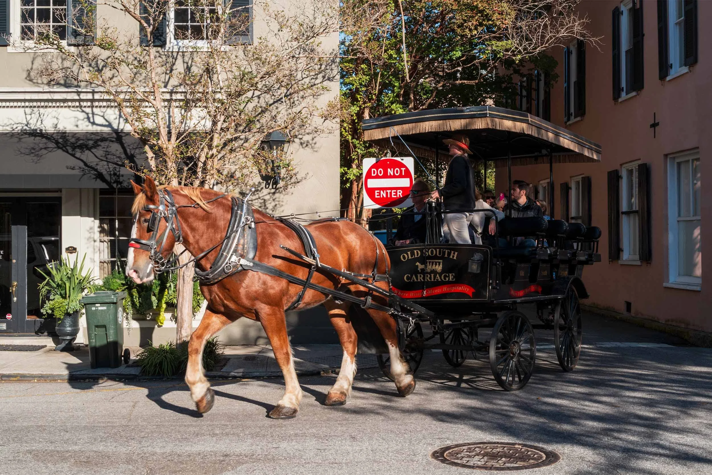 A Photo Journey Through Charleston