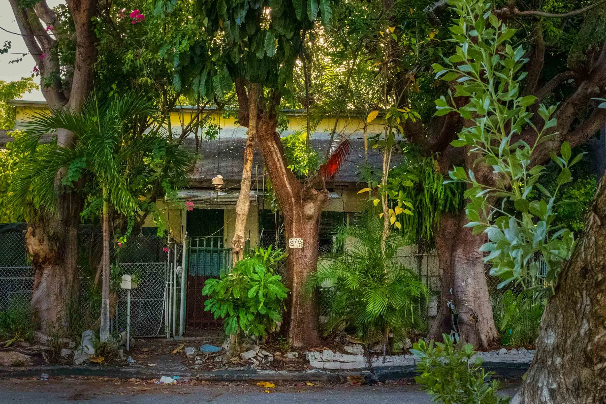 Yellow wood-frame house partly hidden by mature trees in Miami