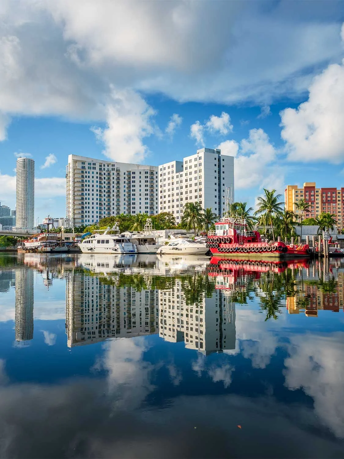 Miami River marina waterfront skyline yachts luxury boats palm trees urban reflection Florida real estate