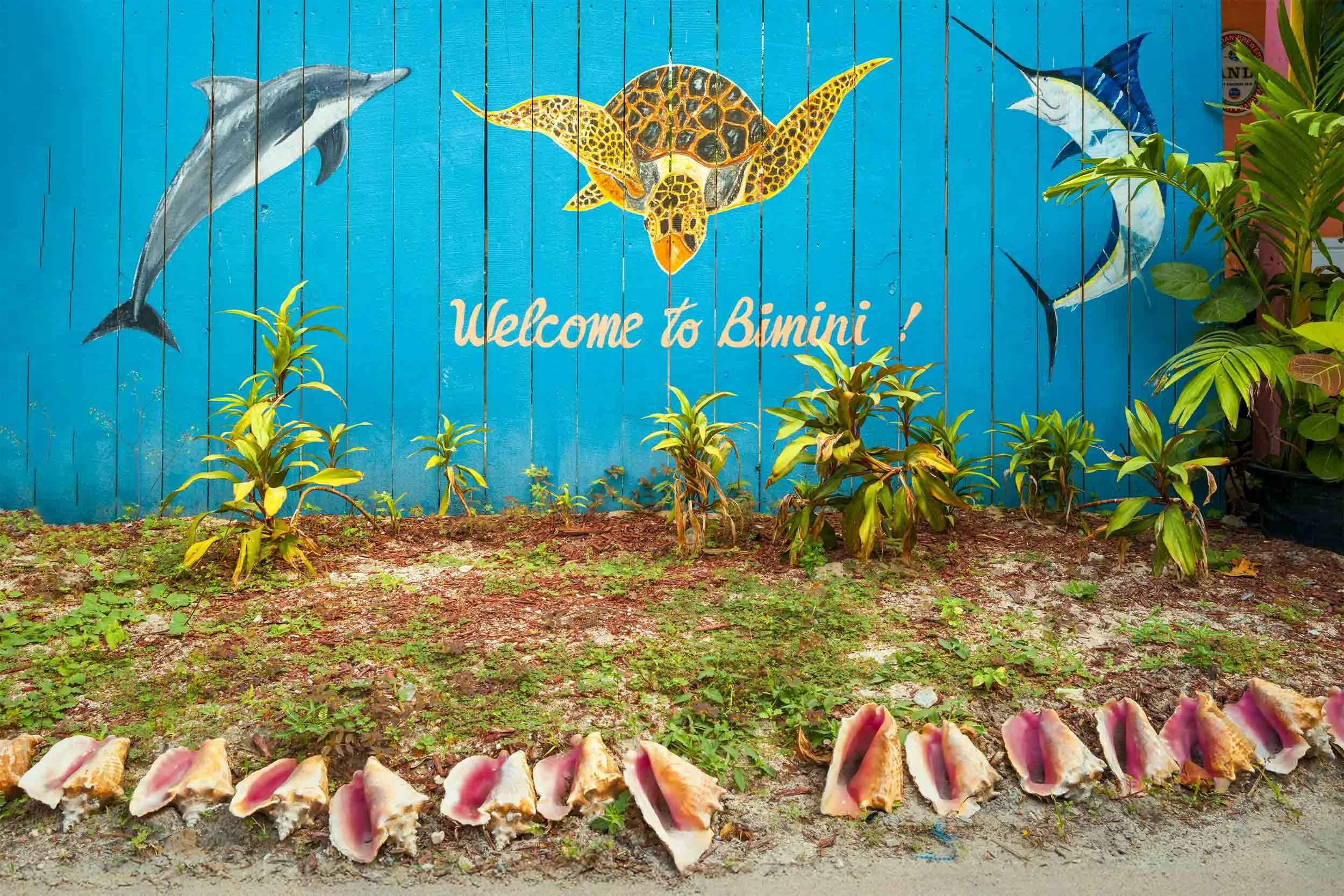 Welcome to Bimini sign surrounded with conch shells