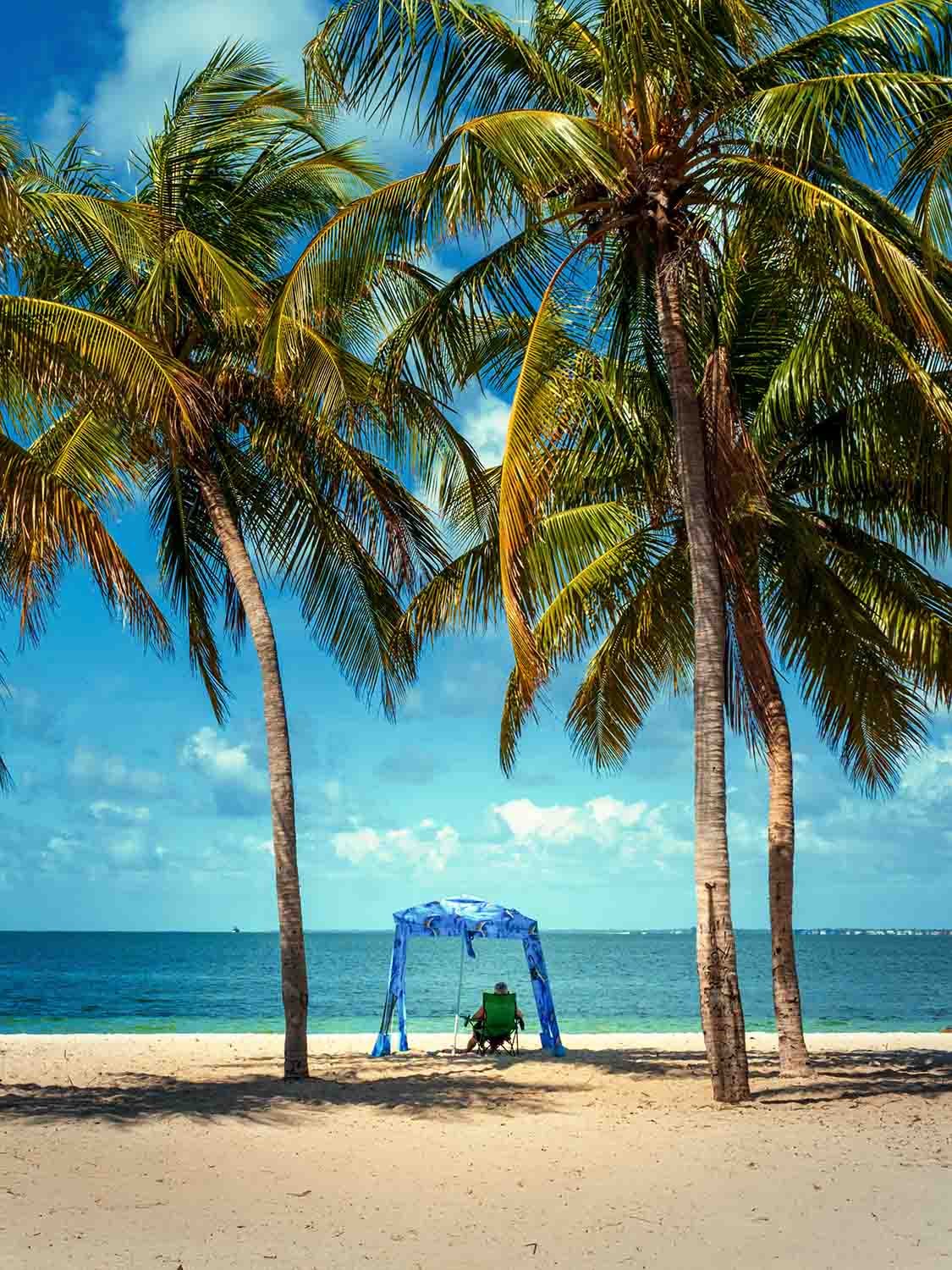 Person relaxing under a blue canopy on Hobie Beach, framed by tall palm trees with turquoise ocean views