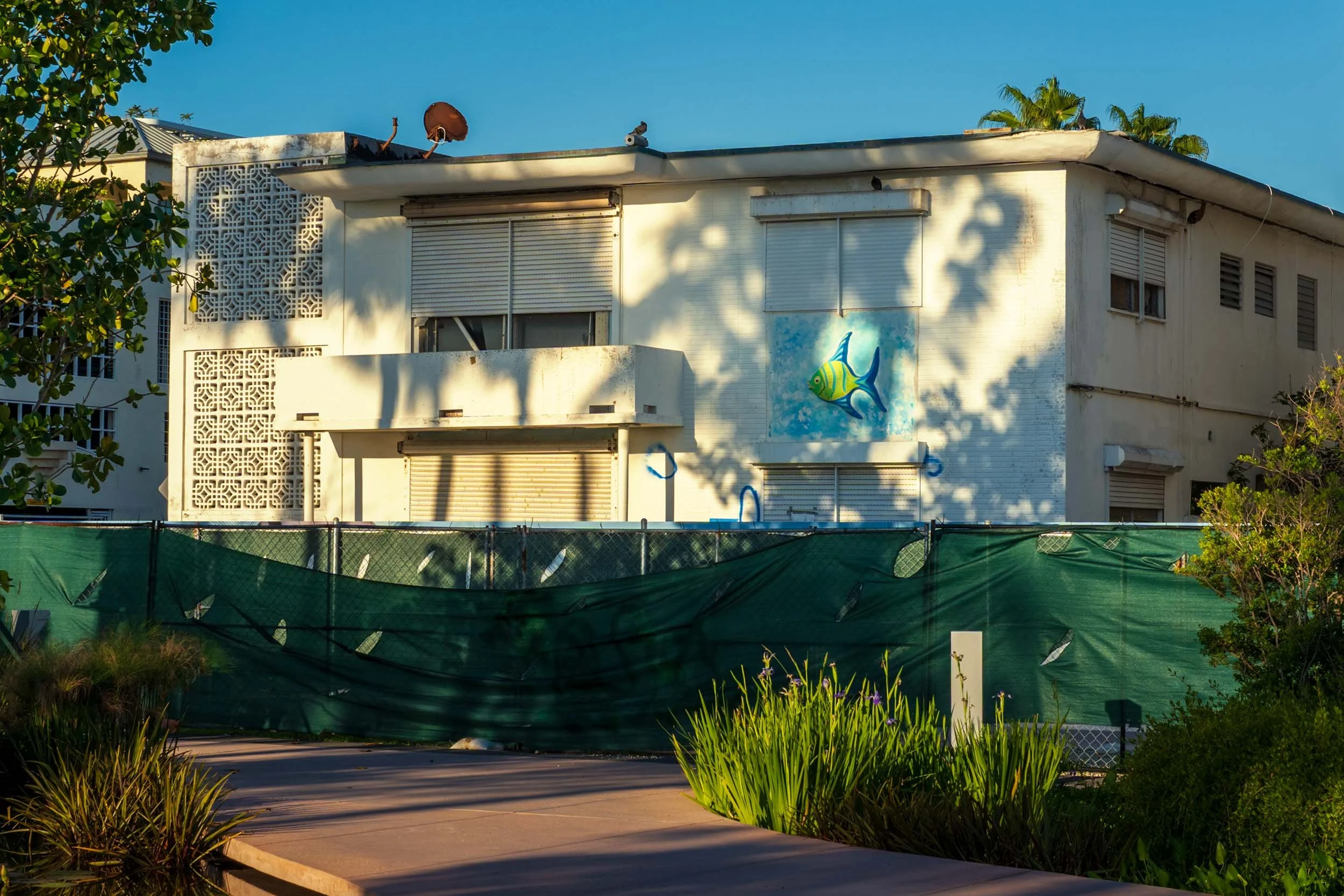 Full facade of 7400 Ocean Terrace Hotel & Apartments with breeze block screen, fish mural, and palm tree, North Beach Miami