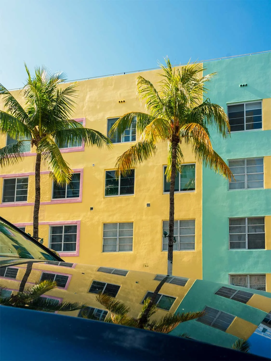 Pastel Art Deco buildings and palm trees lining Ocean Drive in South Beach, Miami