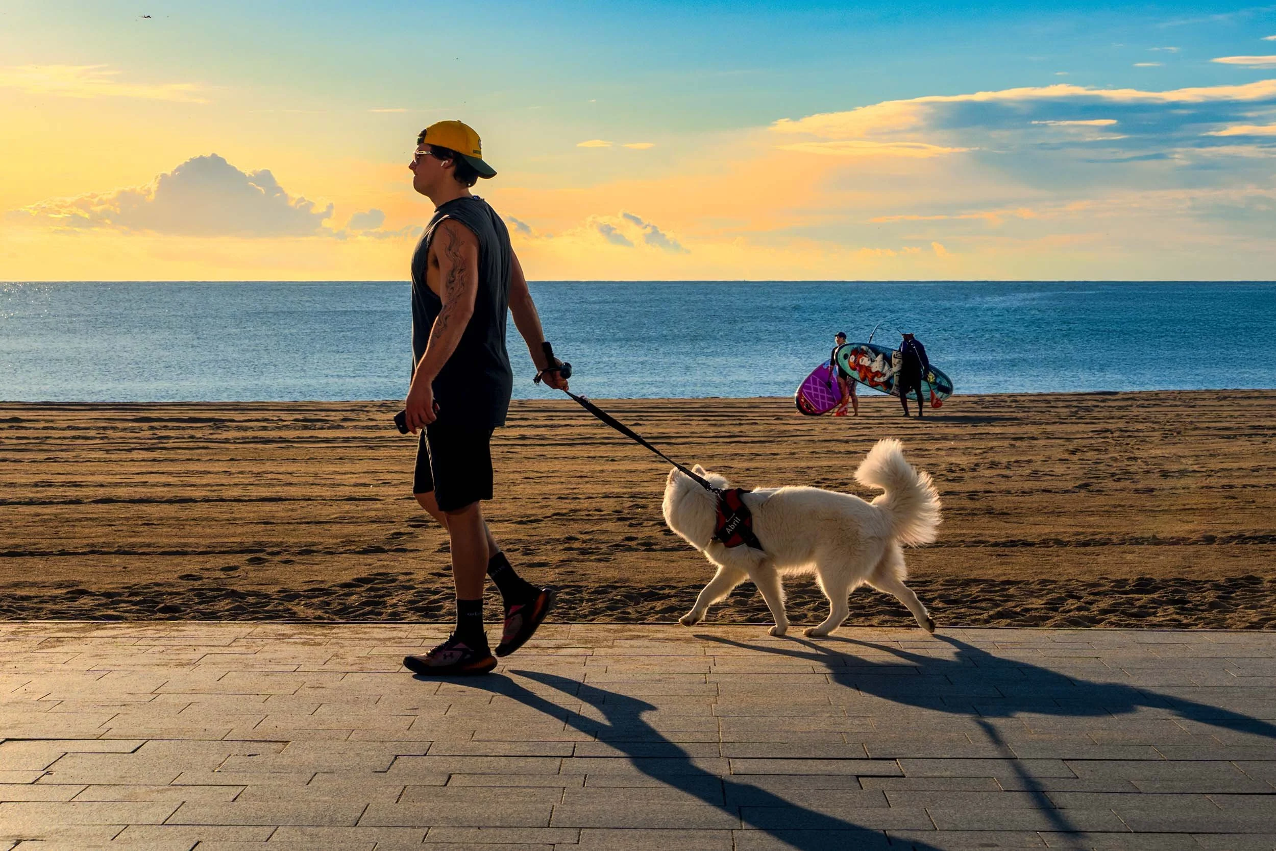 Man walking a fluffy white dog along the boardwalk at sunrise, paddleboarders carrying boards across the sand behind them