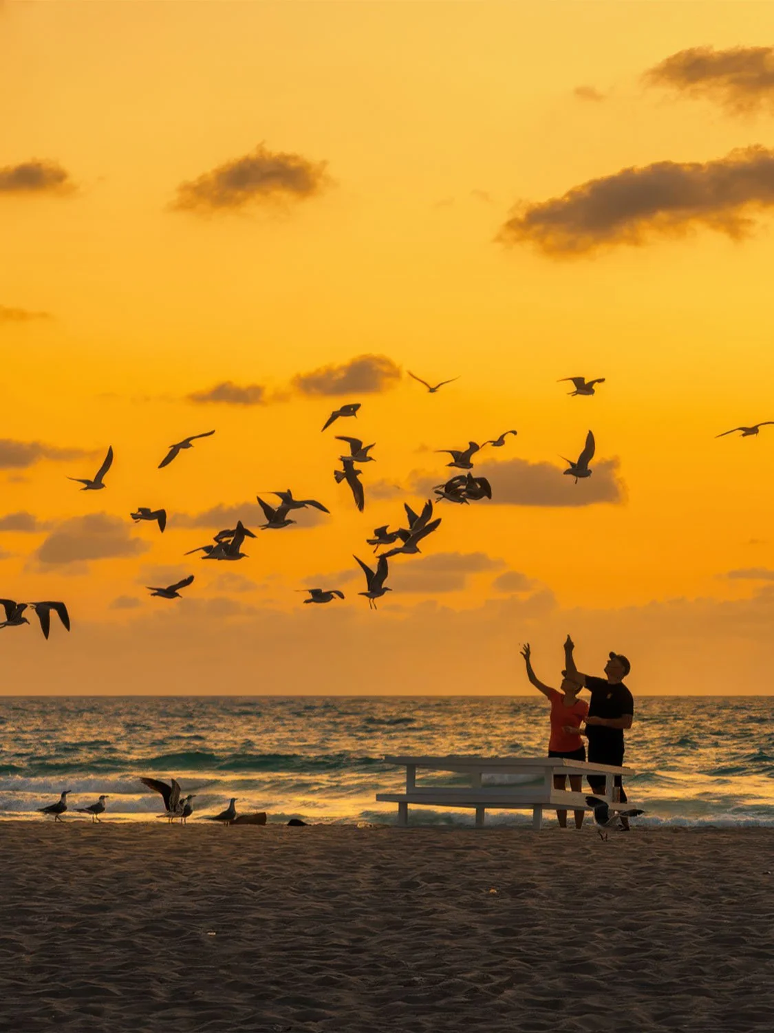 South Beach sunrise seagulls feeding ocean beach golden sunset silhouette Miami travel photography