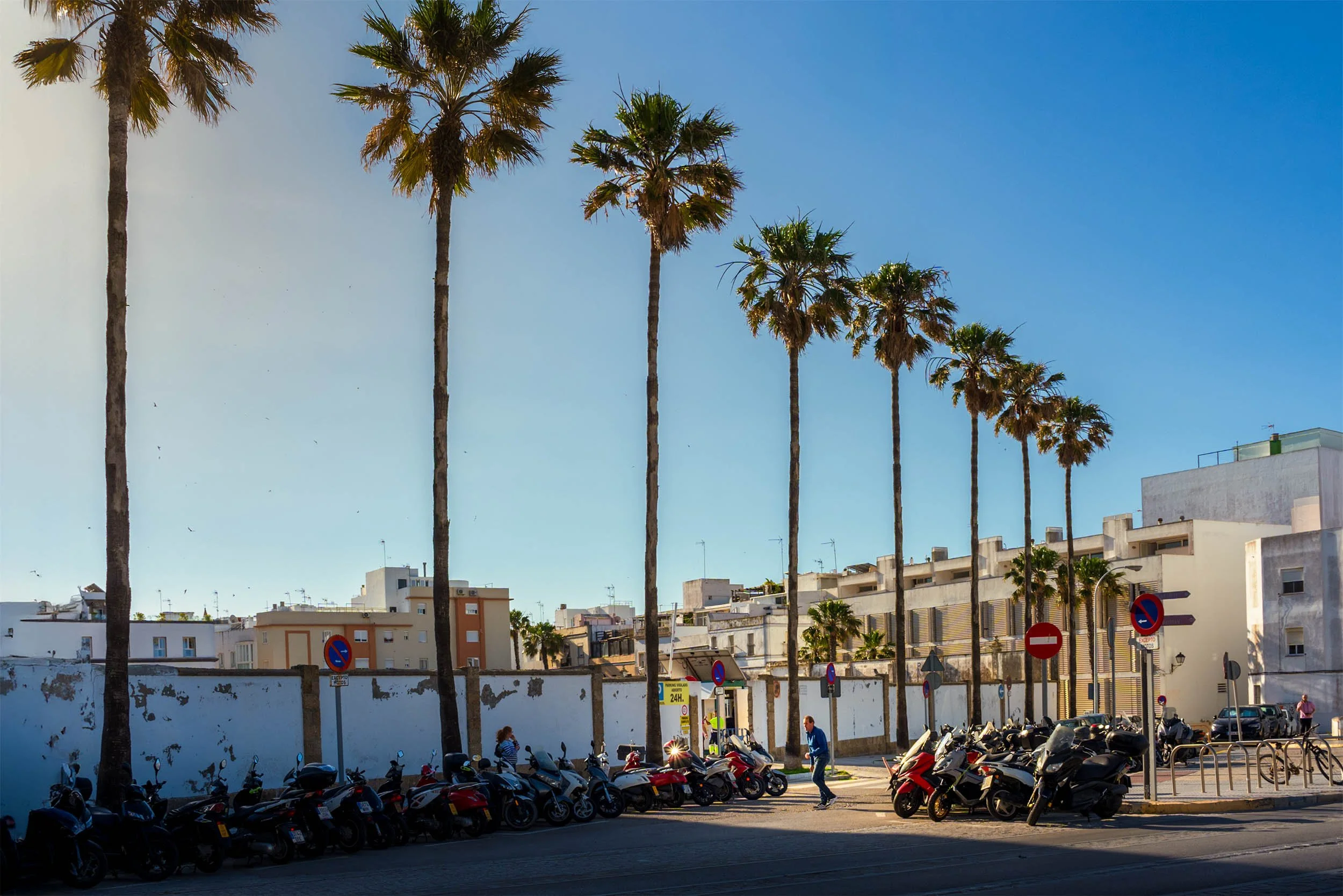 Cadiz Spain street palm trees scooters parking Mediterranean city travel destination Andalusia sunny day
