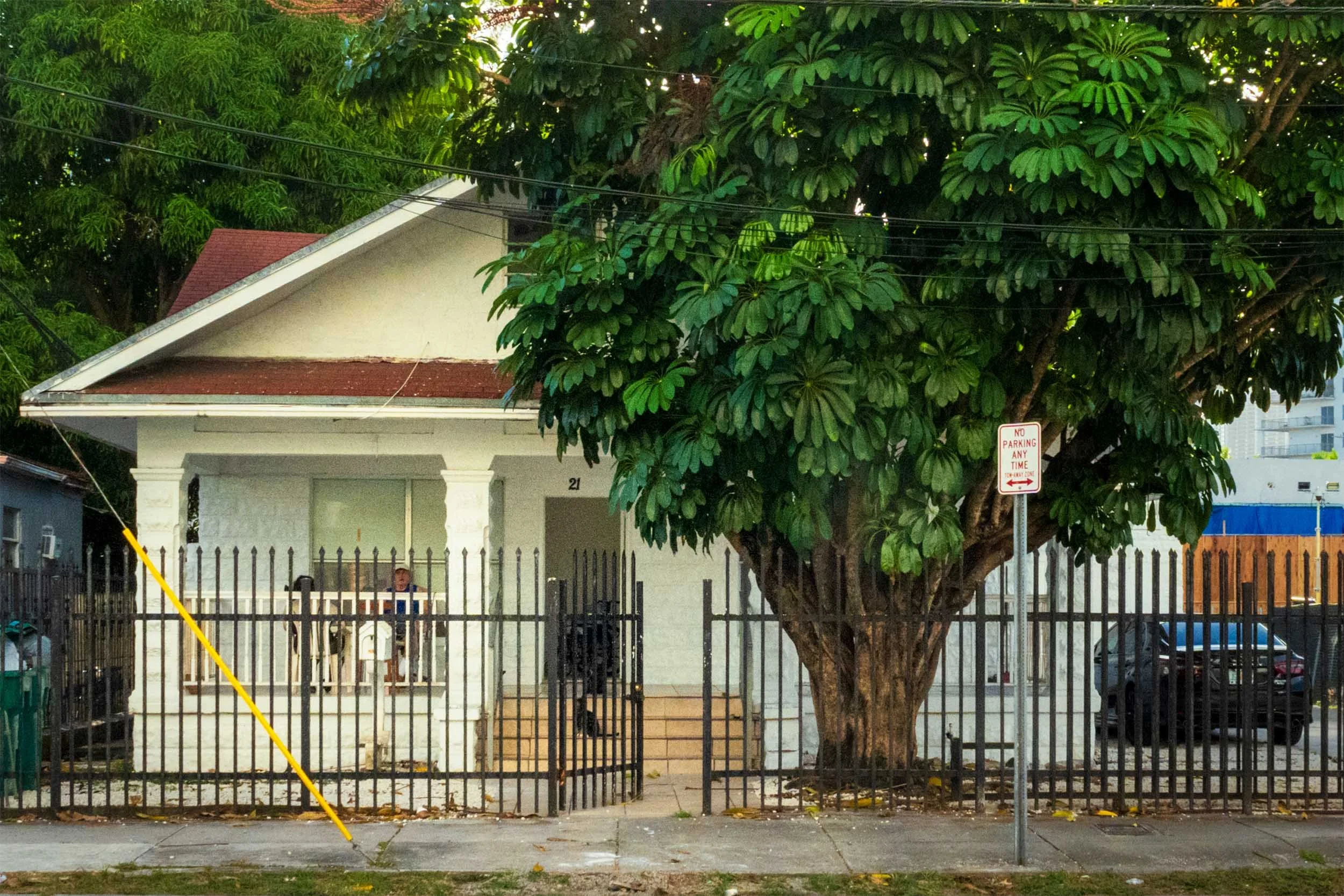 White bungalow porch with a man seated beneath an oak tree, Miami