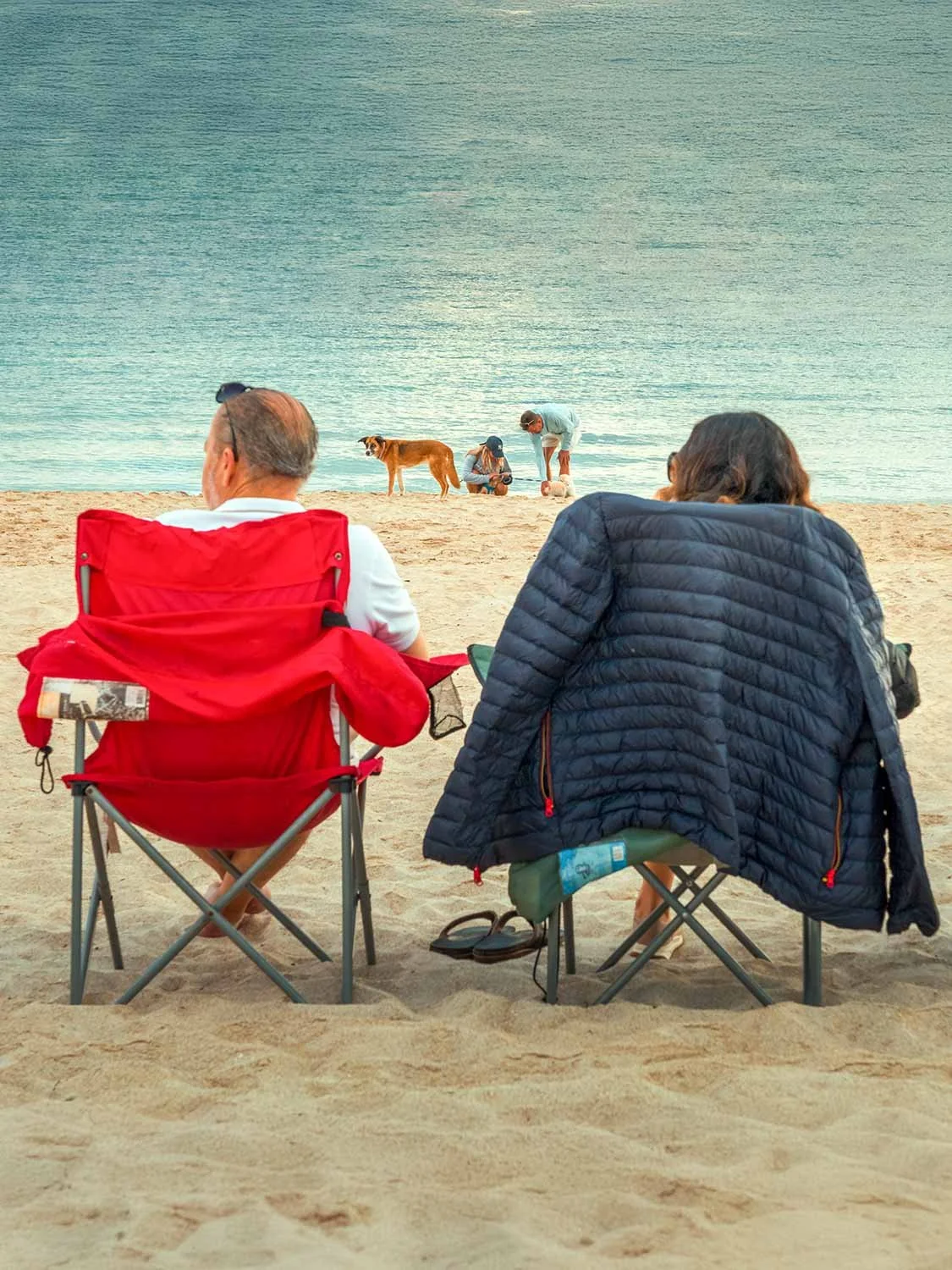 South Beach relaxation couple beach chairs ocean view dog sandy shore outdoor leisure travel