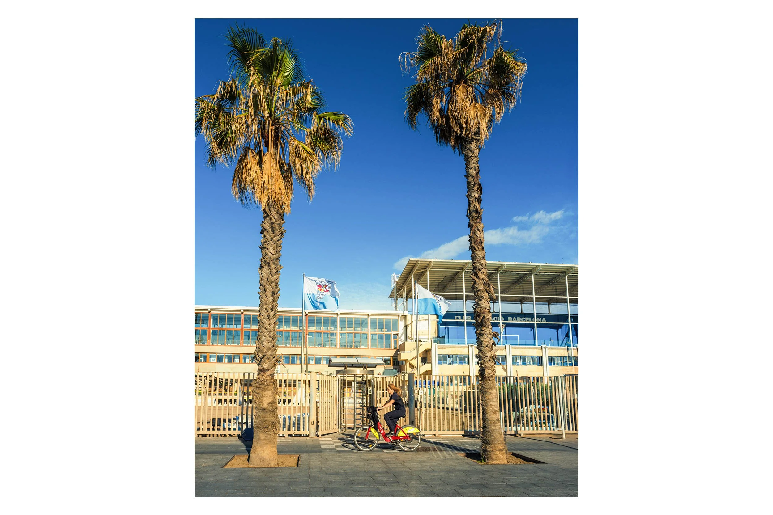 Cyclist on a red bike-share bicycle passing between two tall palm trees in front of Club Natació Barcelona