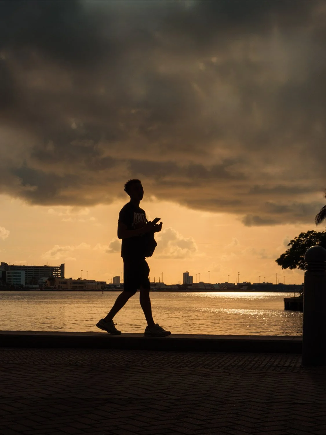 Man walking waterfront at golden hour sunset, urban bayfront silhouette with dramatic cloudy sky and cityscape.