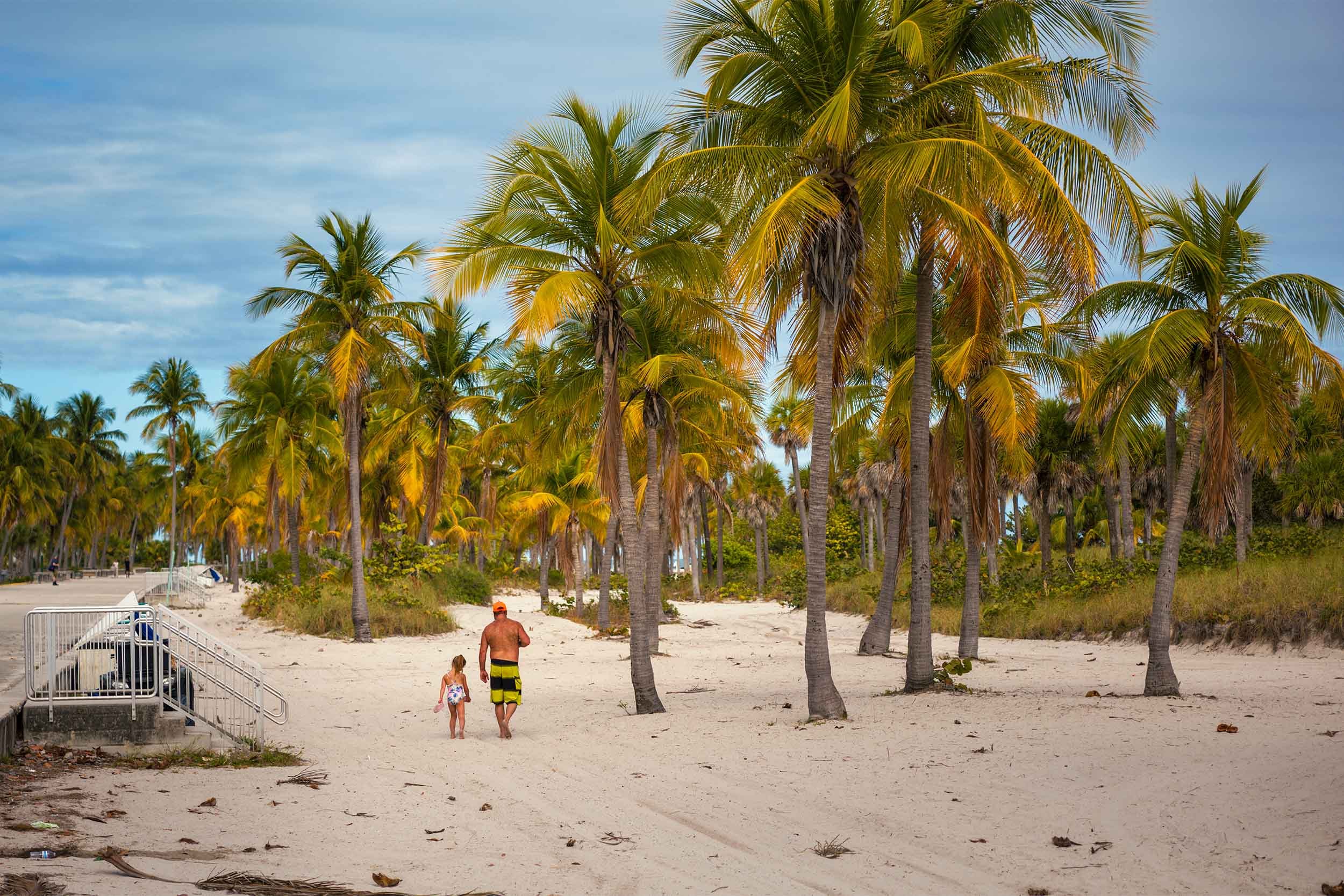 Father and young child walking across the sand beneath tall palm trees at Crandon Park on Key Biscayne