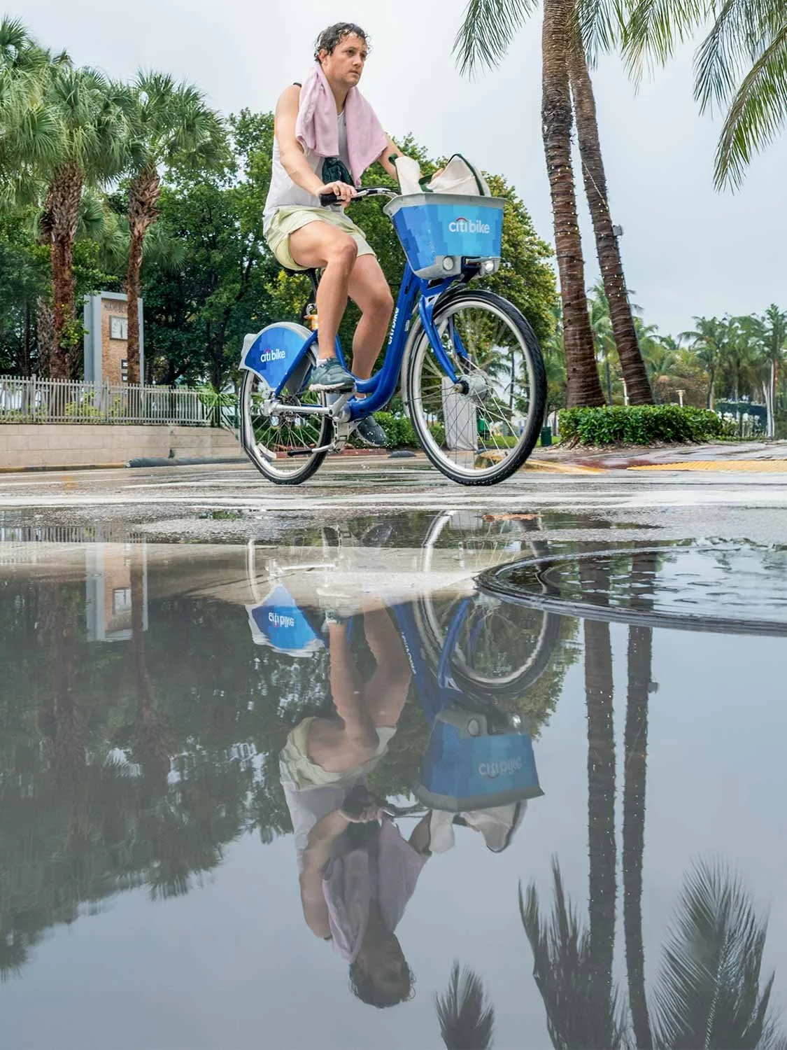 Person riding a blue Citi Bike past palm trees with a mirror reflection in a rain puddle on a wet street