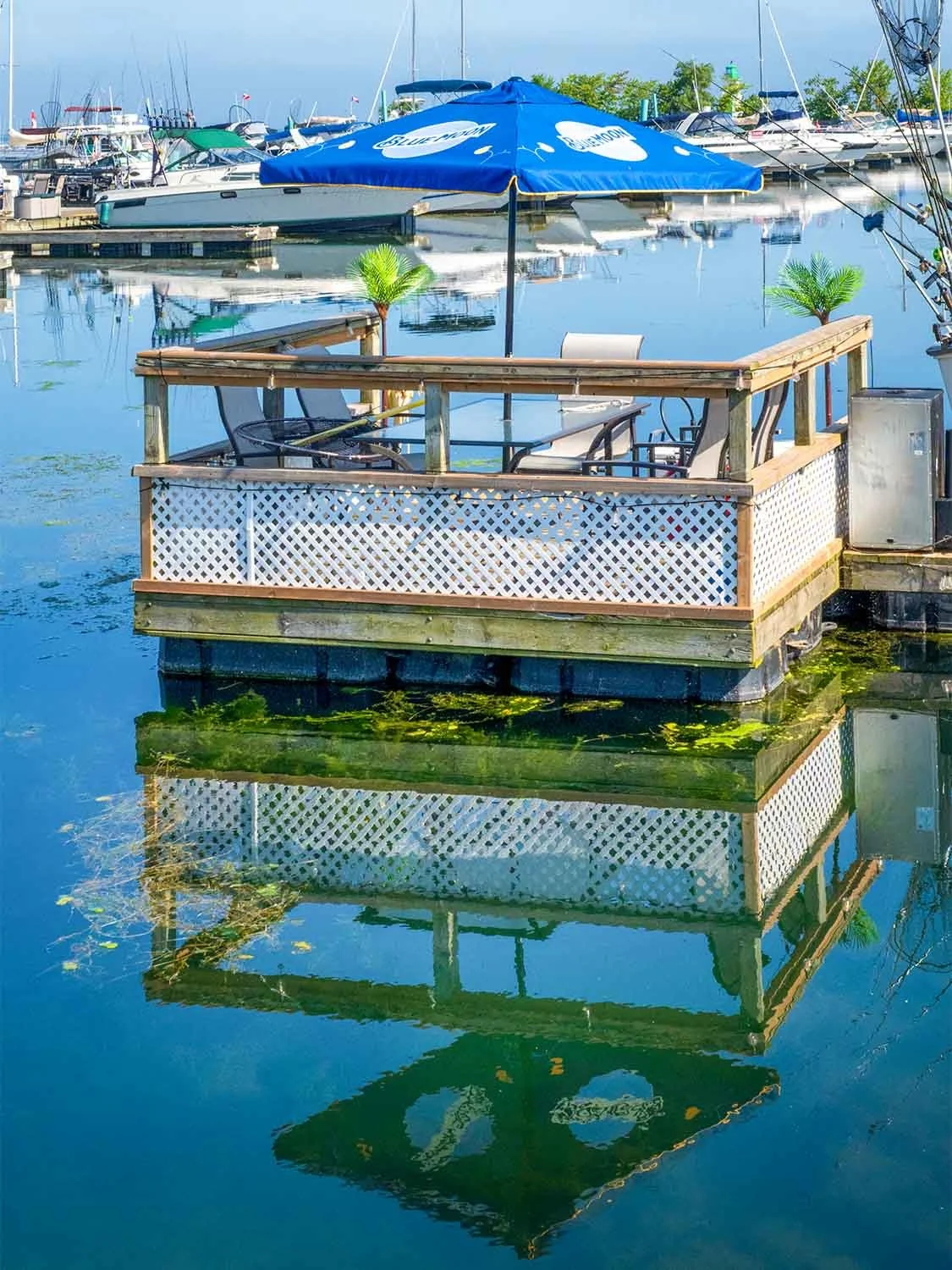 marina floating deck lounge area boat dock seating waterfront relaxation Blue Moon umbrella calm water reflection