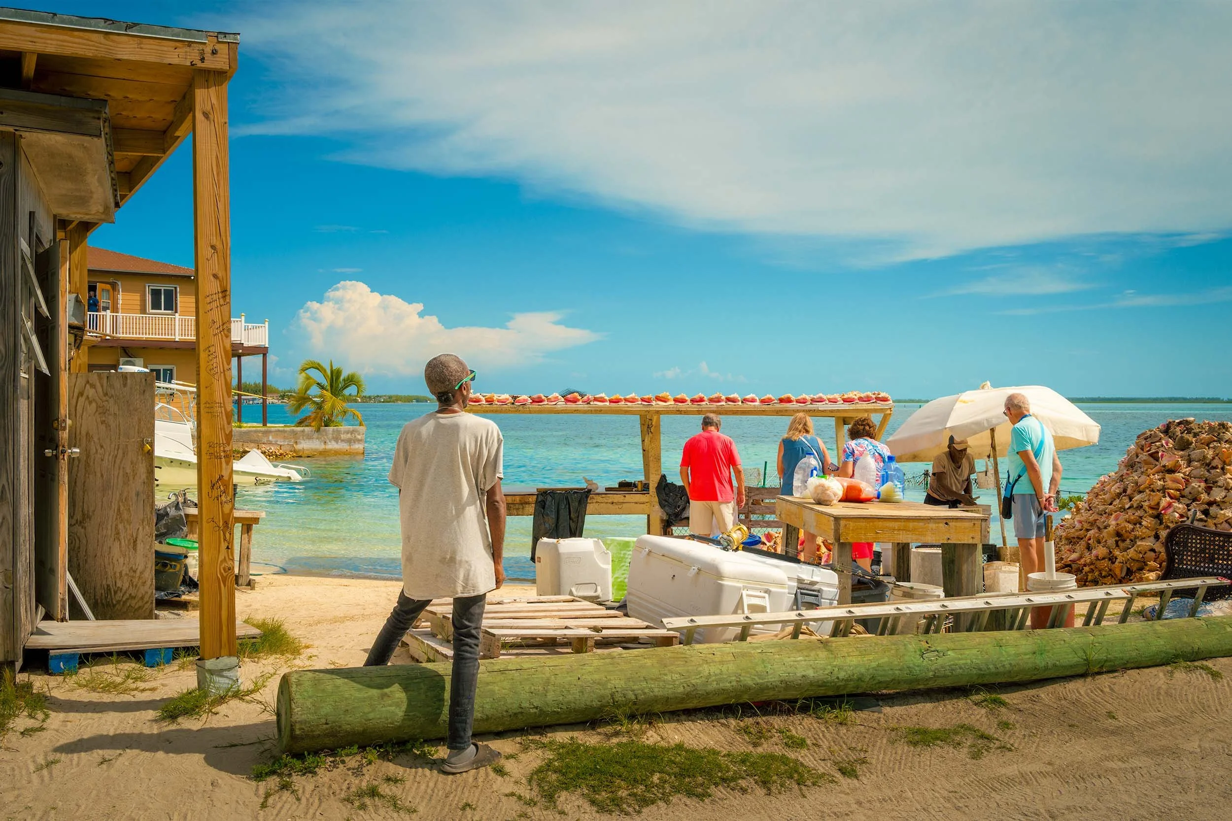 A fisherman in Bimini Bahamas taking conch out of their shells for the tourist