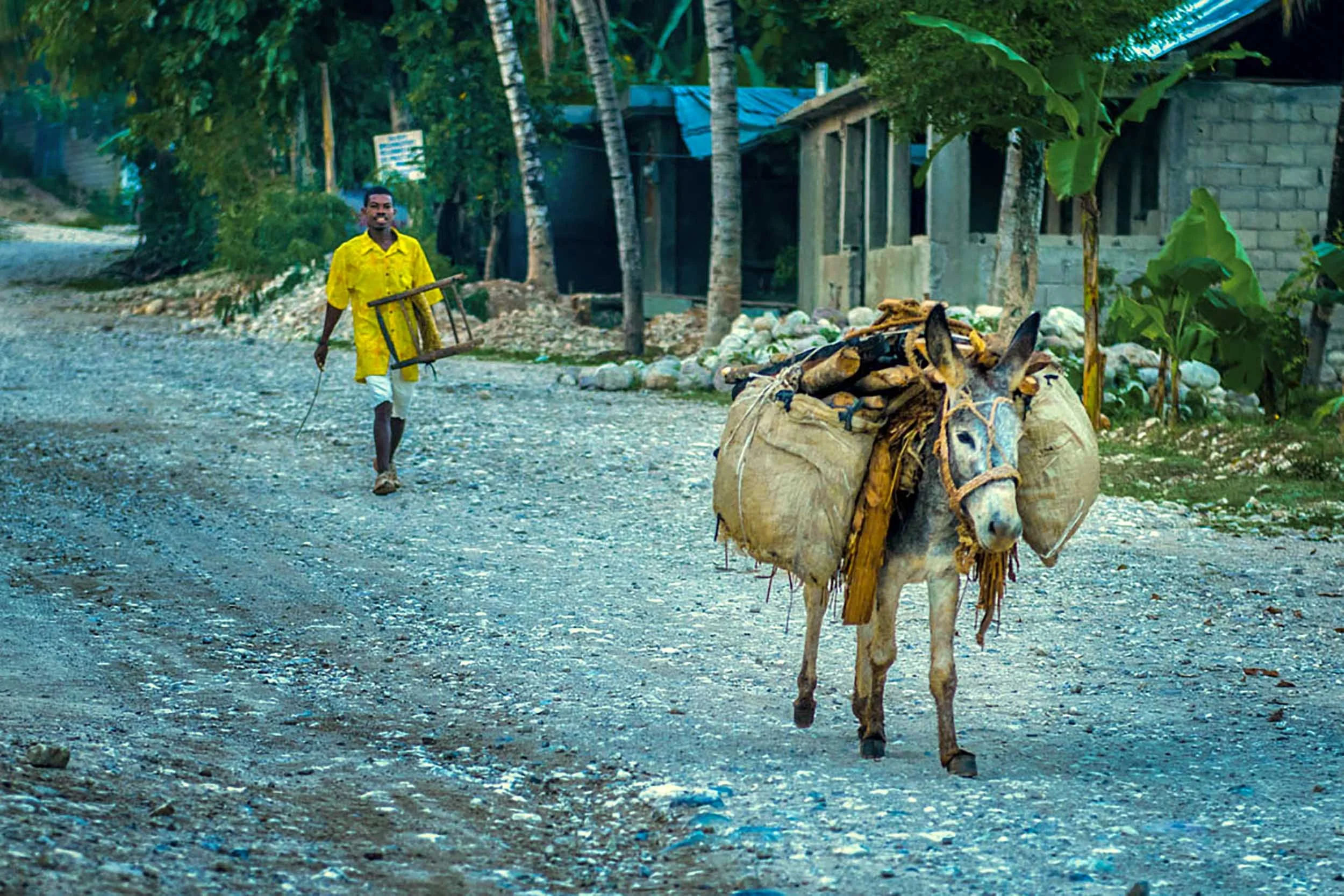 Haiti-5.jpg