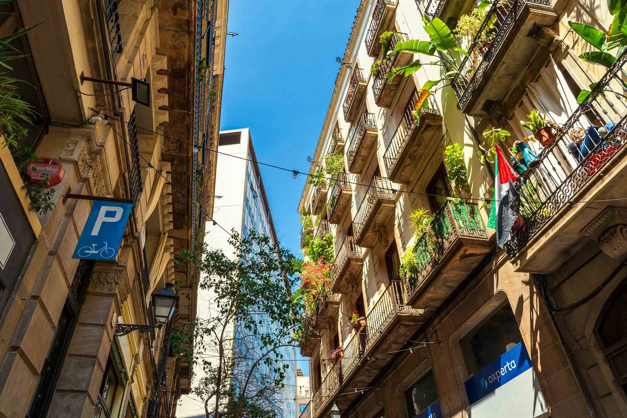 Looking up a narrow street at wrought-iron balconies overflowing with plants, string lights crossing overhead