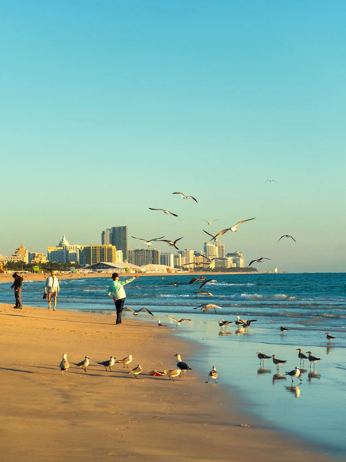 South Beach Miami seagulls beach walk ocean shoreline golden hour skyline Florida travel photography