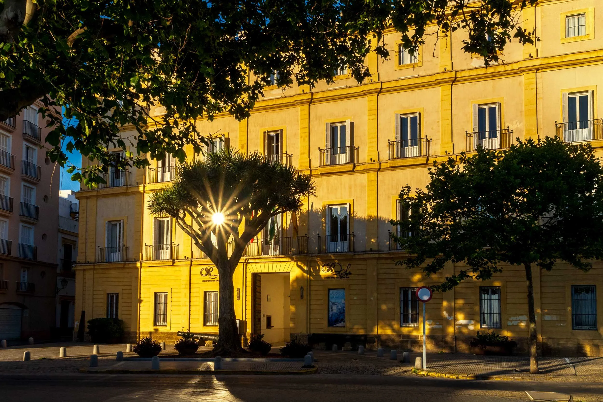 Cadiz Spain historic architecture golden hour sunburst dragon tree plaza neoclassical building travel photography