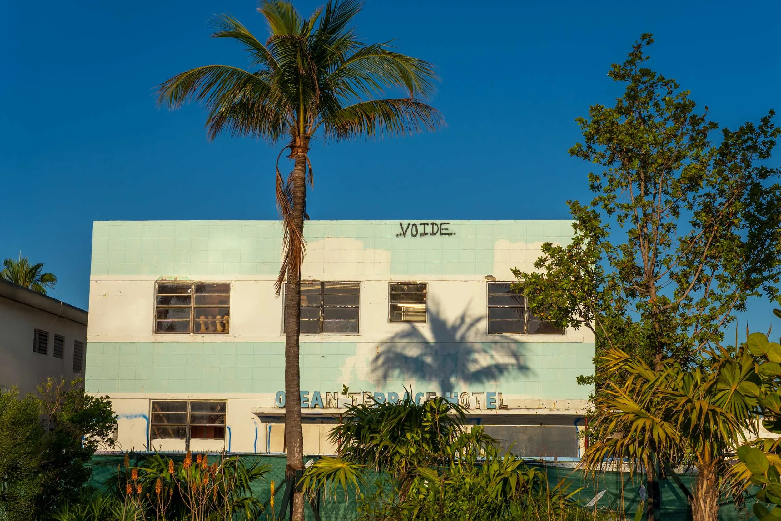 Wide view of the Ocean Terrace Hotel building at 7410 Ocean Terrace with palm tree, North Beach Miami