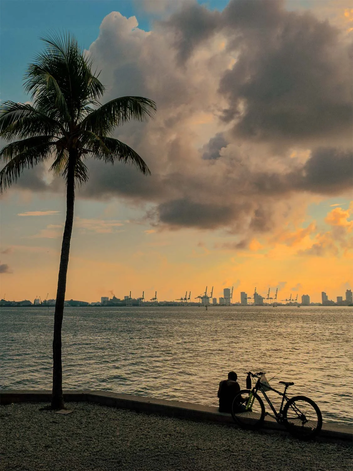 Person sitting beside a bicycle at Rickenbacker Causeway waterfront at sunset with a palm tree and Miami skyline