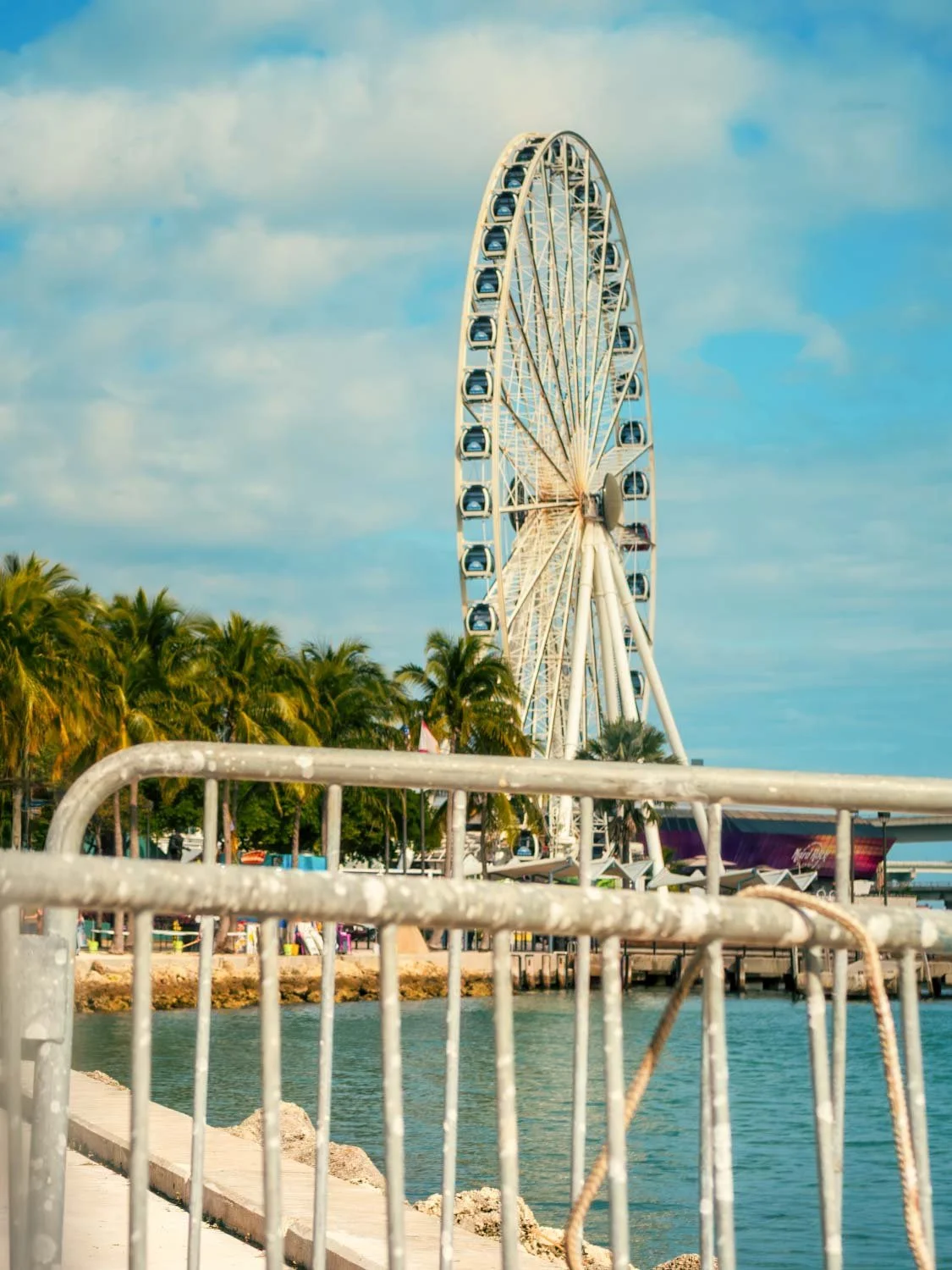 Ferris wheel at Bayside Marketplace with Biscayne Bay in the background, downtown Miami