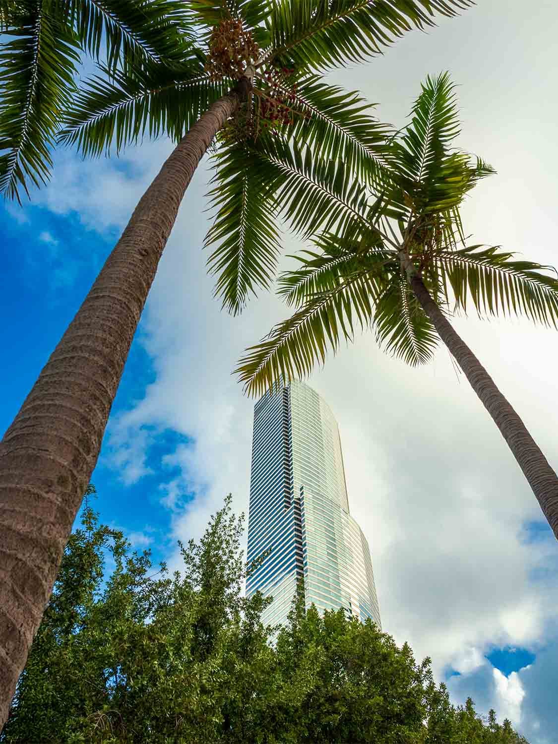 luxury glass tower skyscraper palm trees urban skyline tropical city architecture blue sky real estate