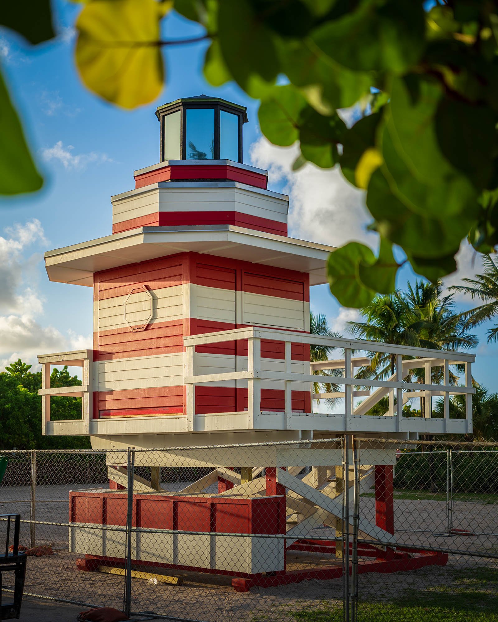 New Jetty lifeguard tower seen through palm fronds in Lummus Park before installation