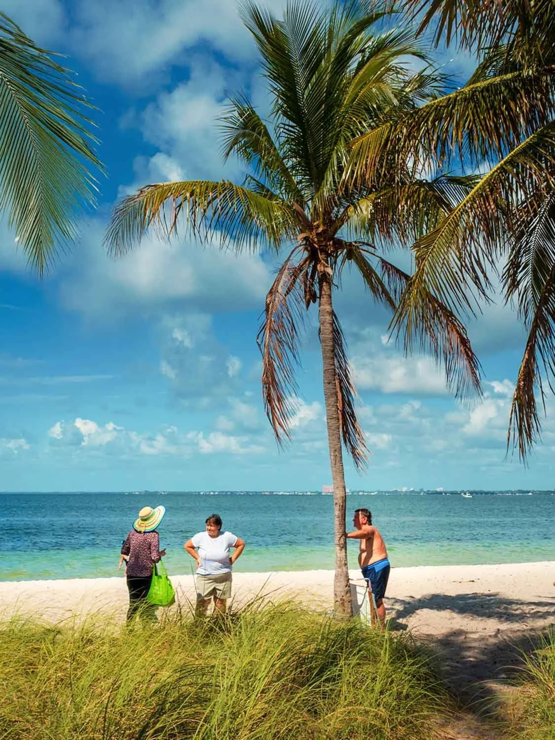 Three people socializing near a tall palm tree on the white sandy shore of Hobie Beach with turquoise water behind them